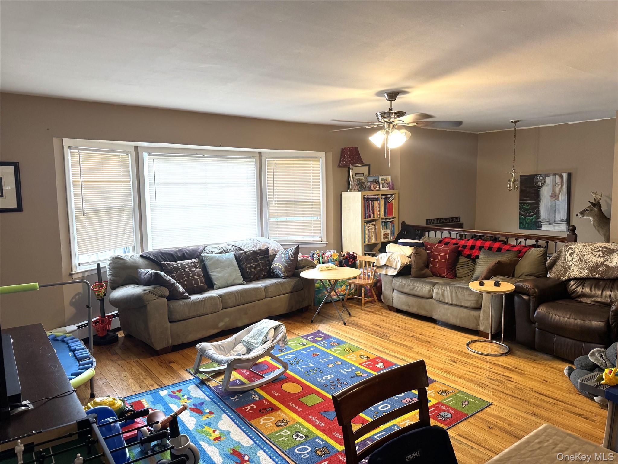 Single Family Mckinley Street  Nassau County, NY 11510, MLS-1015242-5