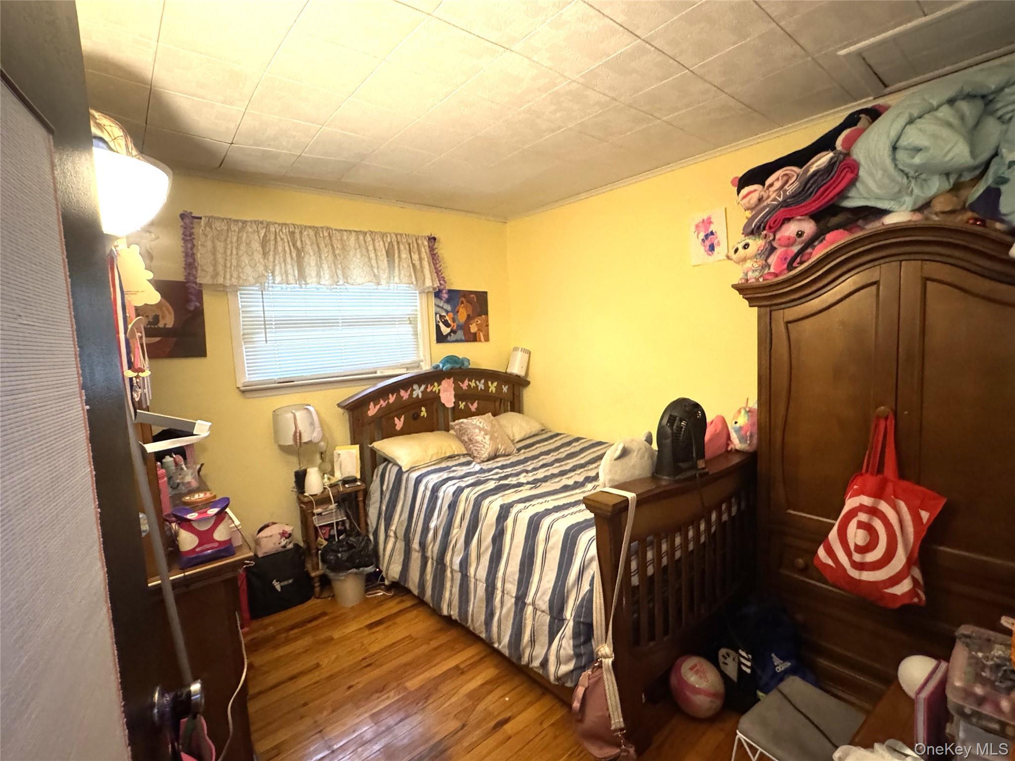 Single Family Mckinley Street  Nassau County, NY 11510, MLS-1015242-9