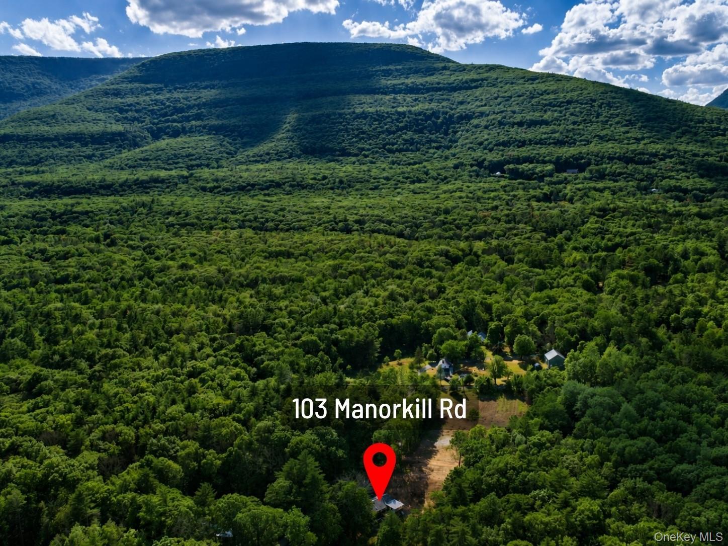 Single Family Manorkill  Greene County, NY 12463, MLS-1015250-46