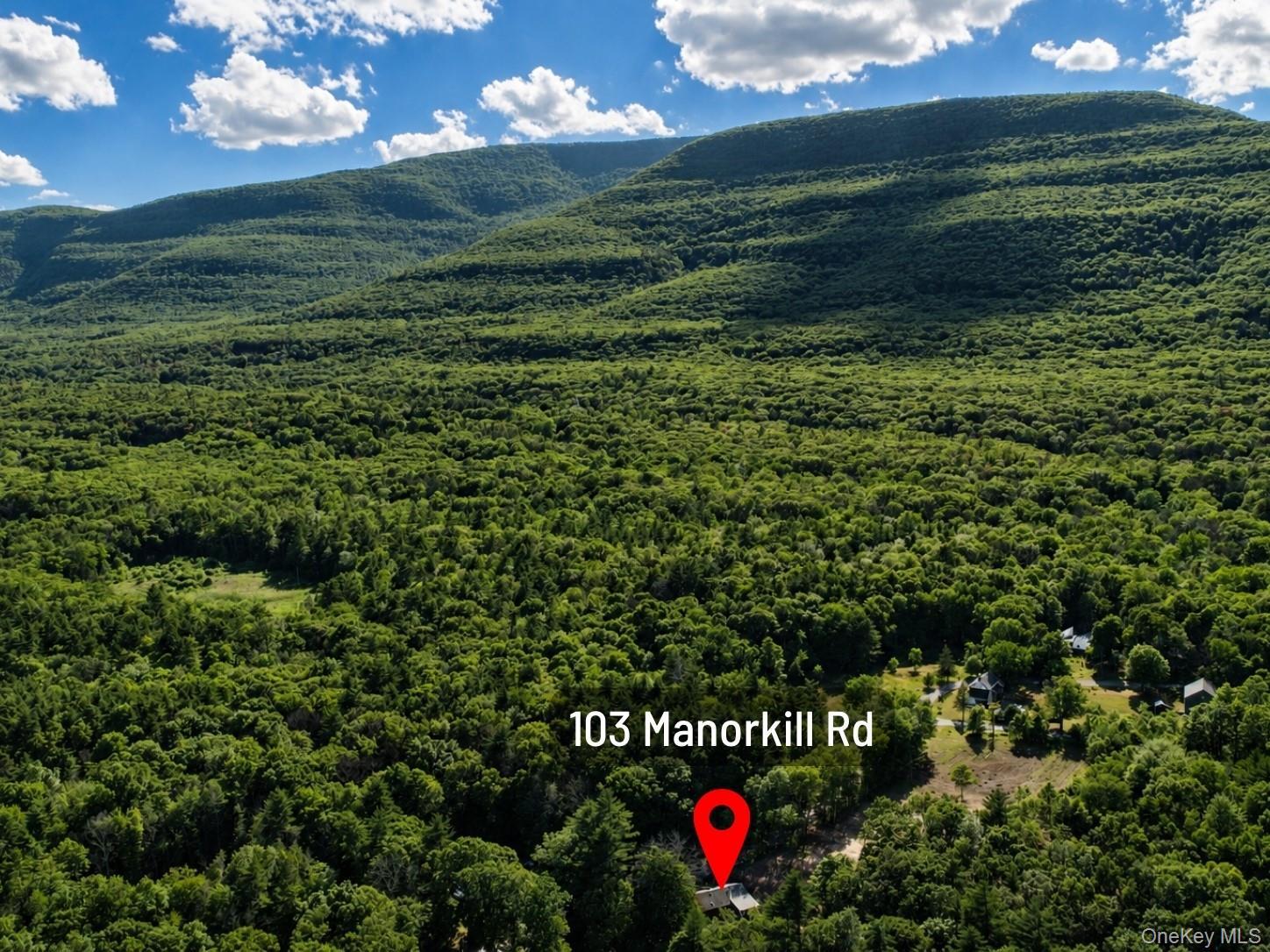 Single Family Manorkill Greene County, NY 12463, MLS-1015250-5