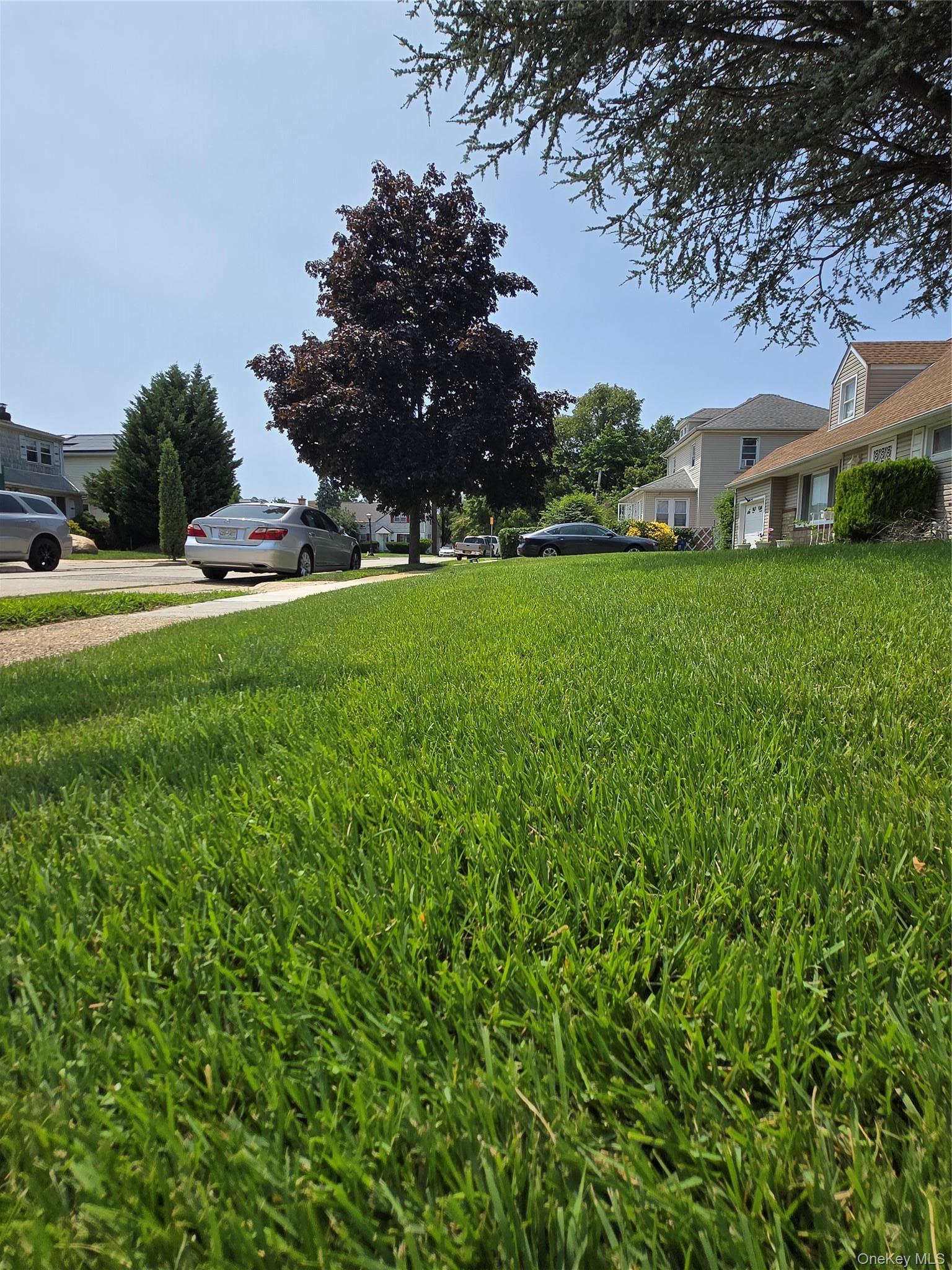 Single Family Harriman Avenue  Nassau County, NY 11550, MLS-1015316-2