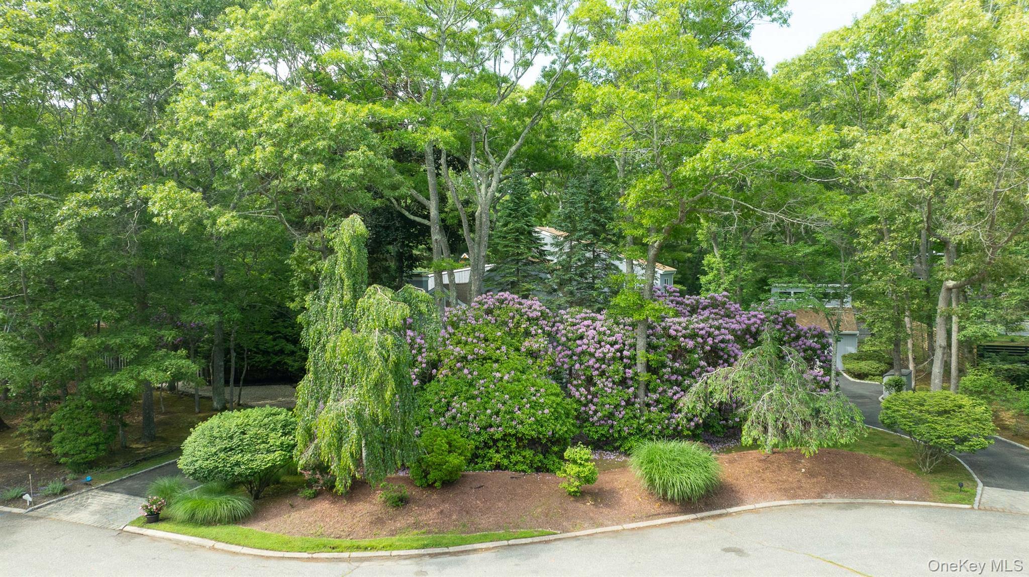 Single Family Strathmore Court  Suffolk County, NY 11960, MLS-1015525-17