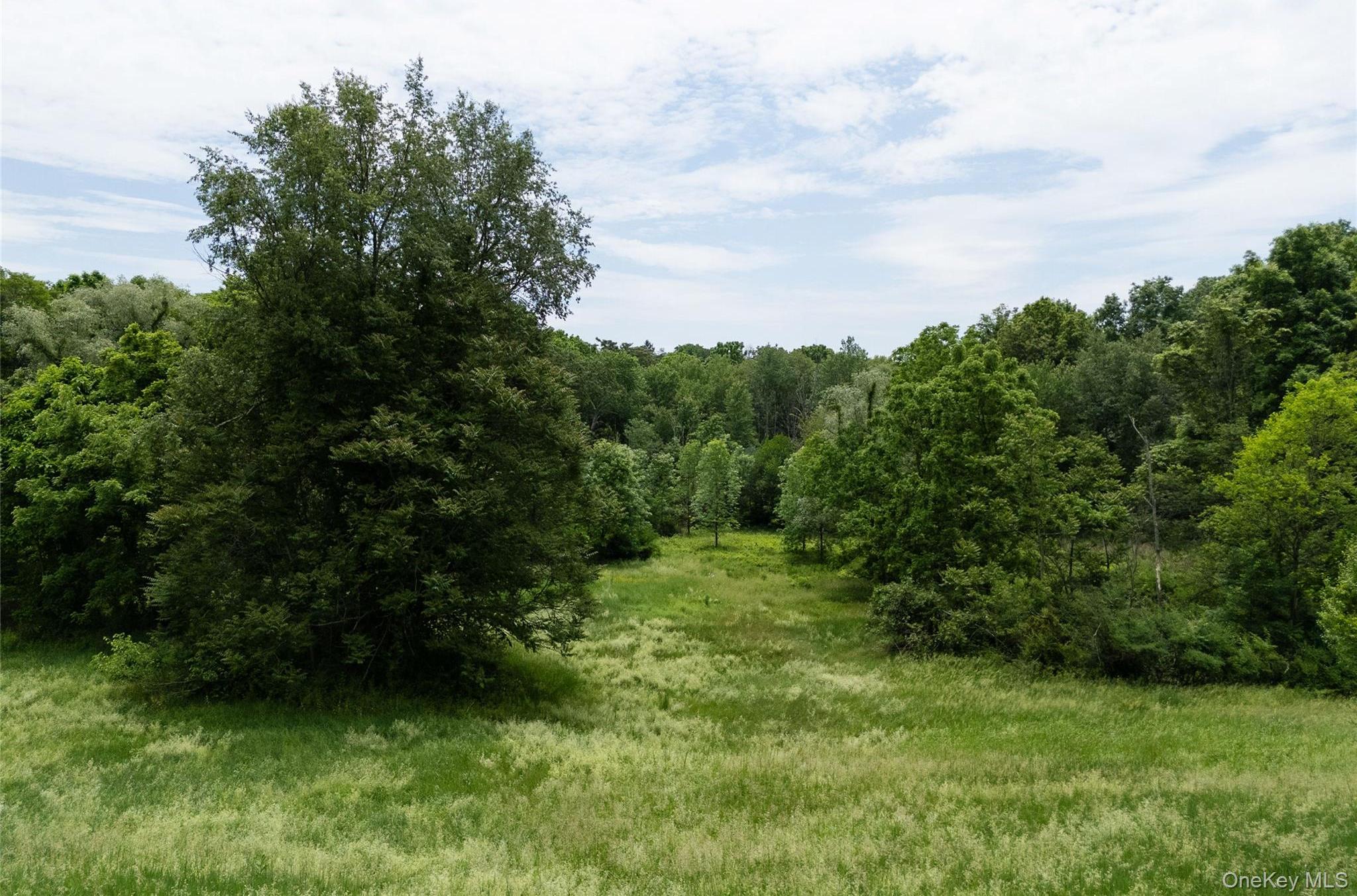 Single Family Albany Post Road  Dutchess County, NY 12572, MLS-1015551-21