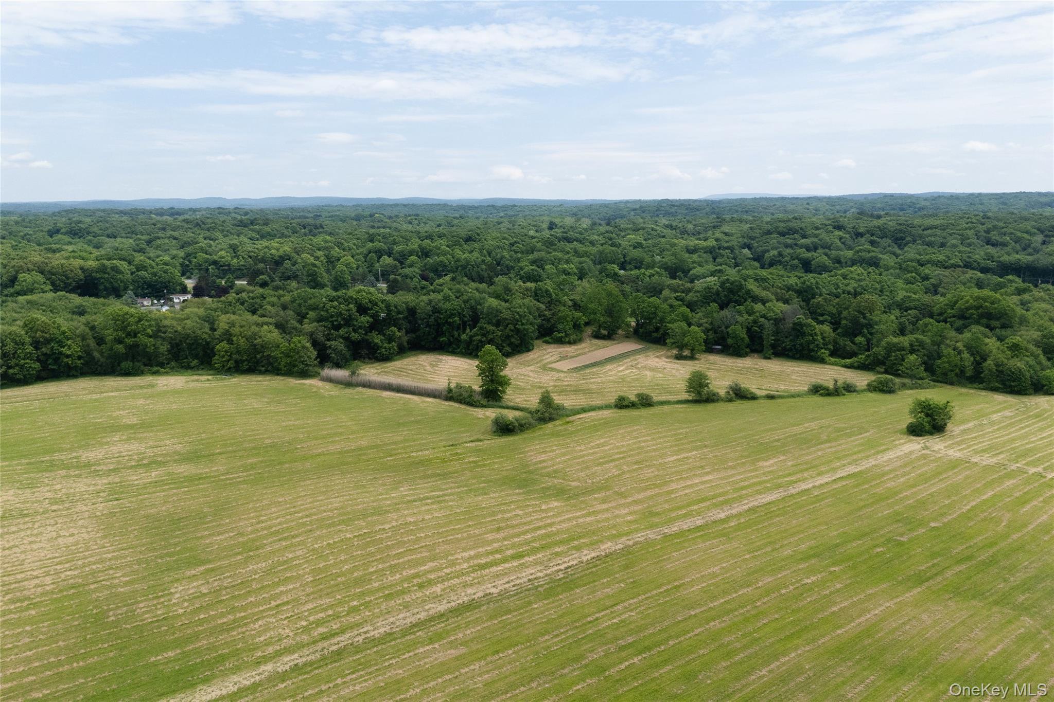 Single Family Albany Post Road  Dutchess County, NY 12572, MLS-1015551-26