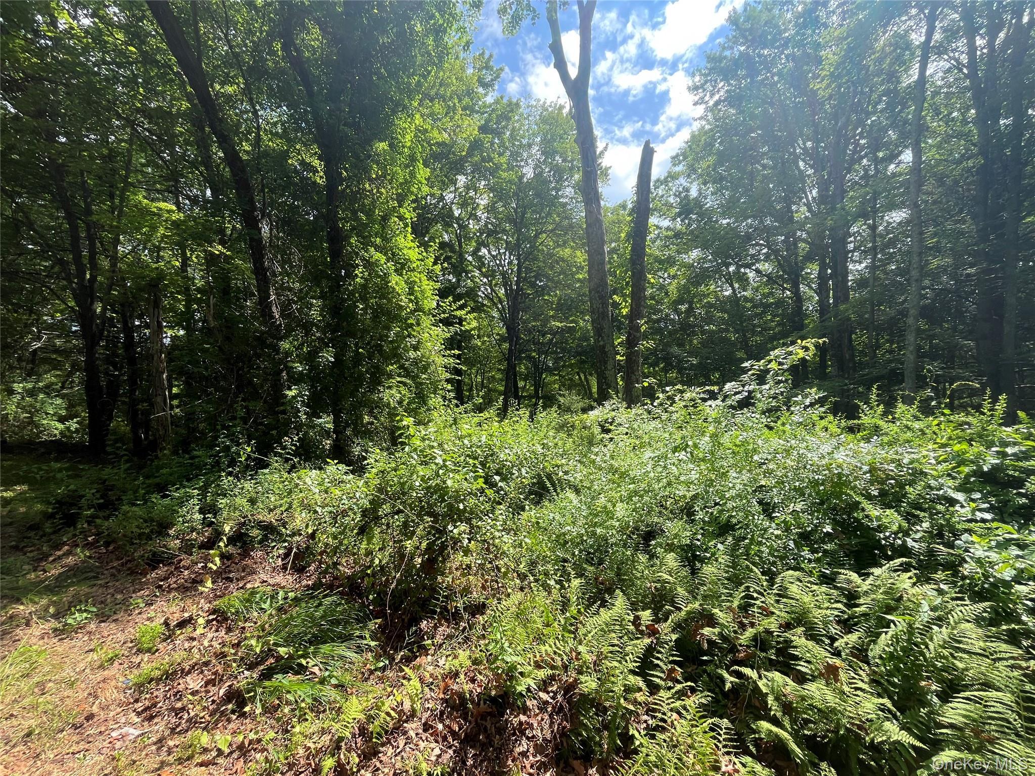 Single Family Glasco Turnpike Ulster County, NY 12477, MLS-1015646-10