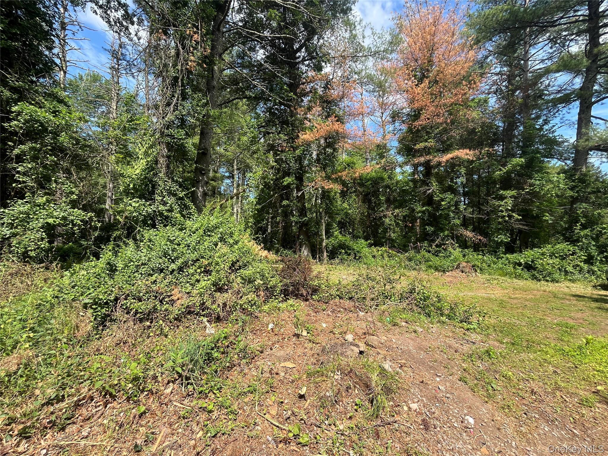 Single Family Glasco Turnpike Ulster County, NY 12477, MLS-1015646-12