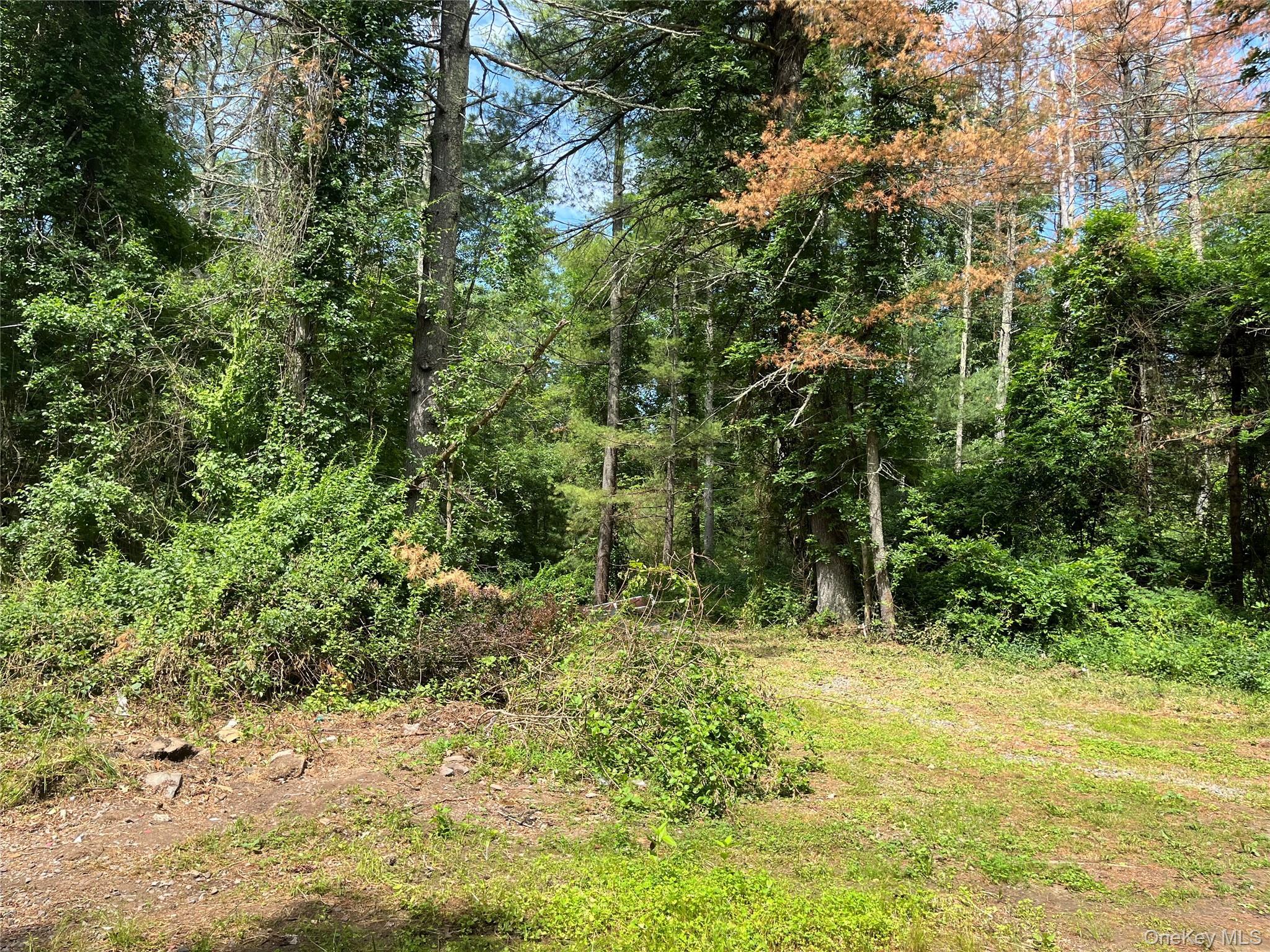Single Family Glasco Turnpike Ulster County, NY 12477, MLS-1015646-2