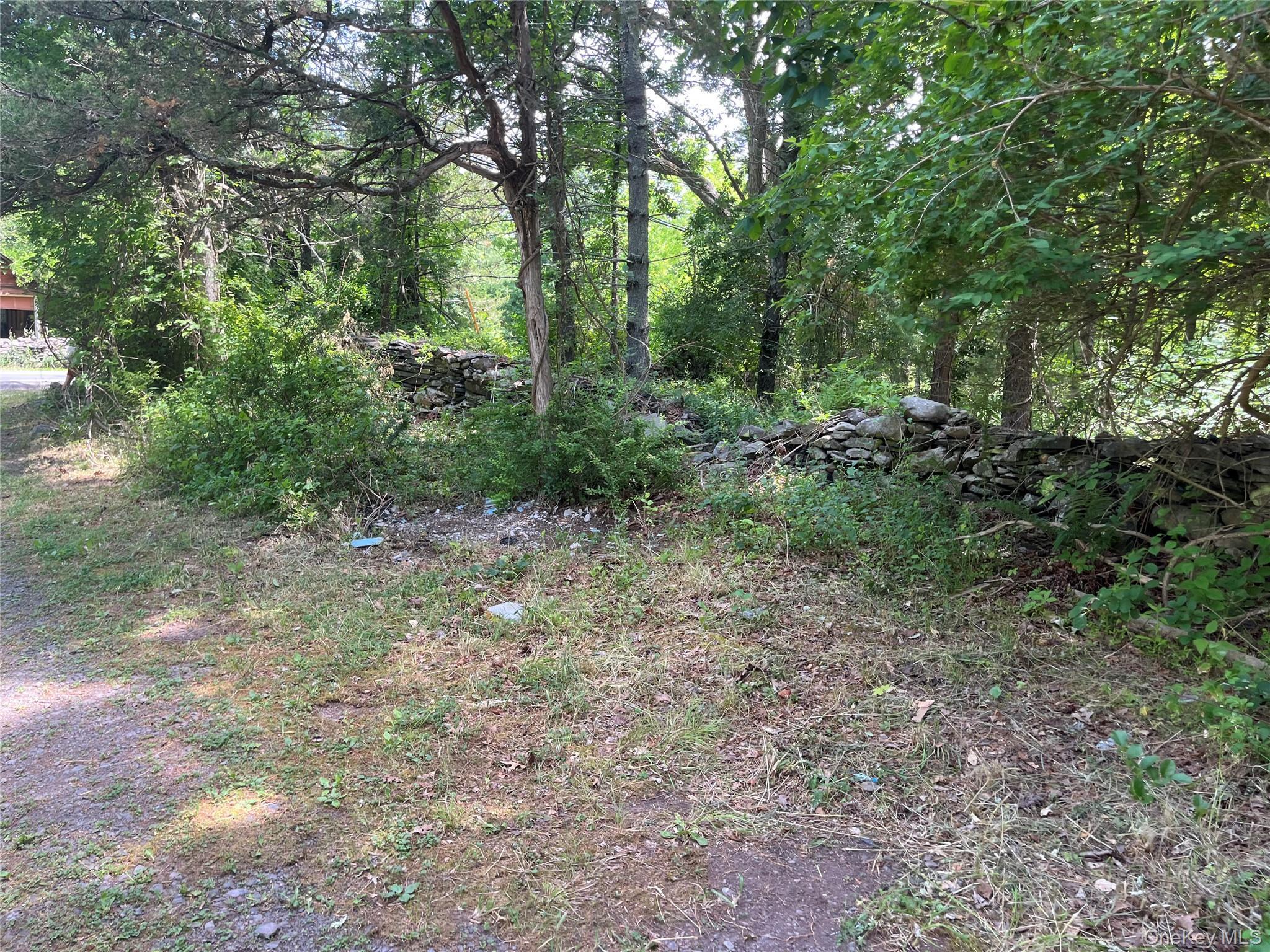 Single Family Glasco Turnpike Ulster County, NY 12477, MLS-1015646-26