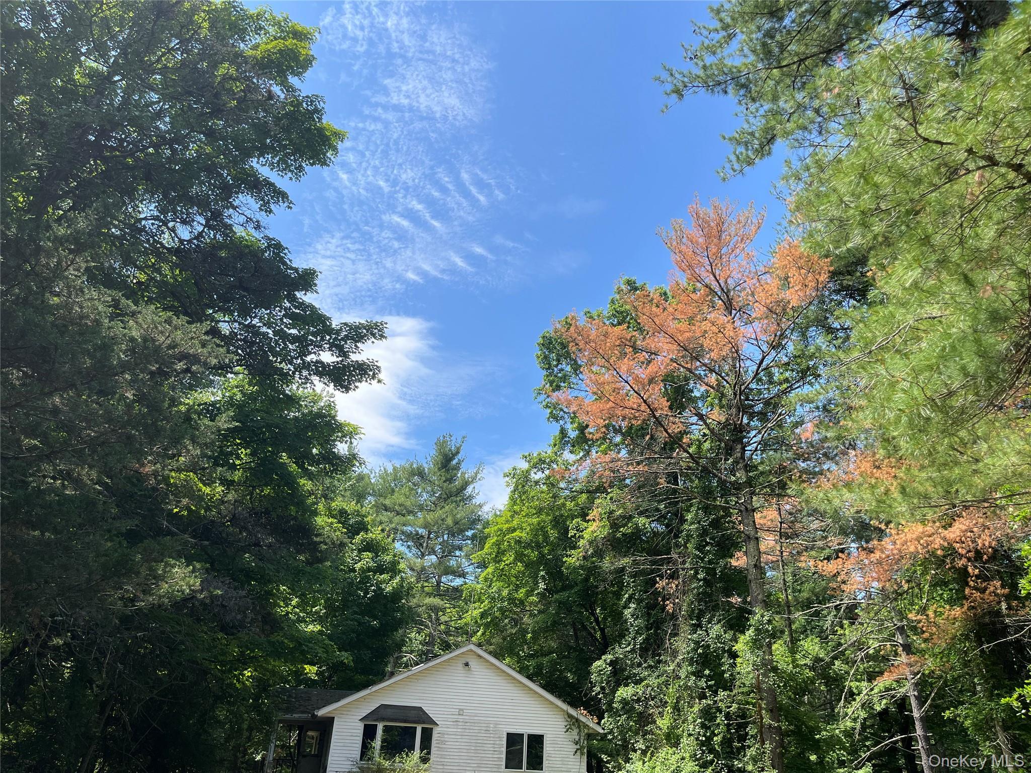 Single Family Glasco Turnpike Ulster County, NY 12477, MLS-1015646-27
