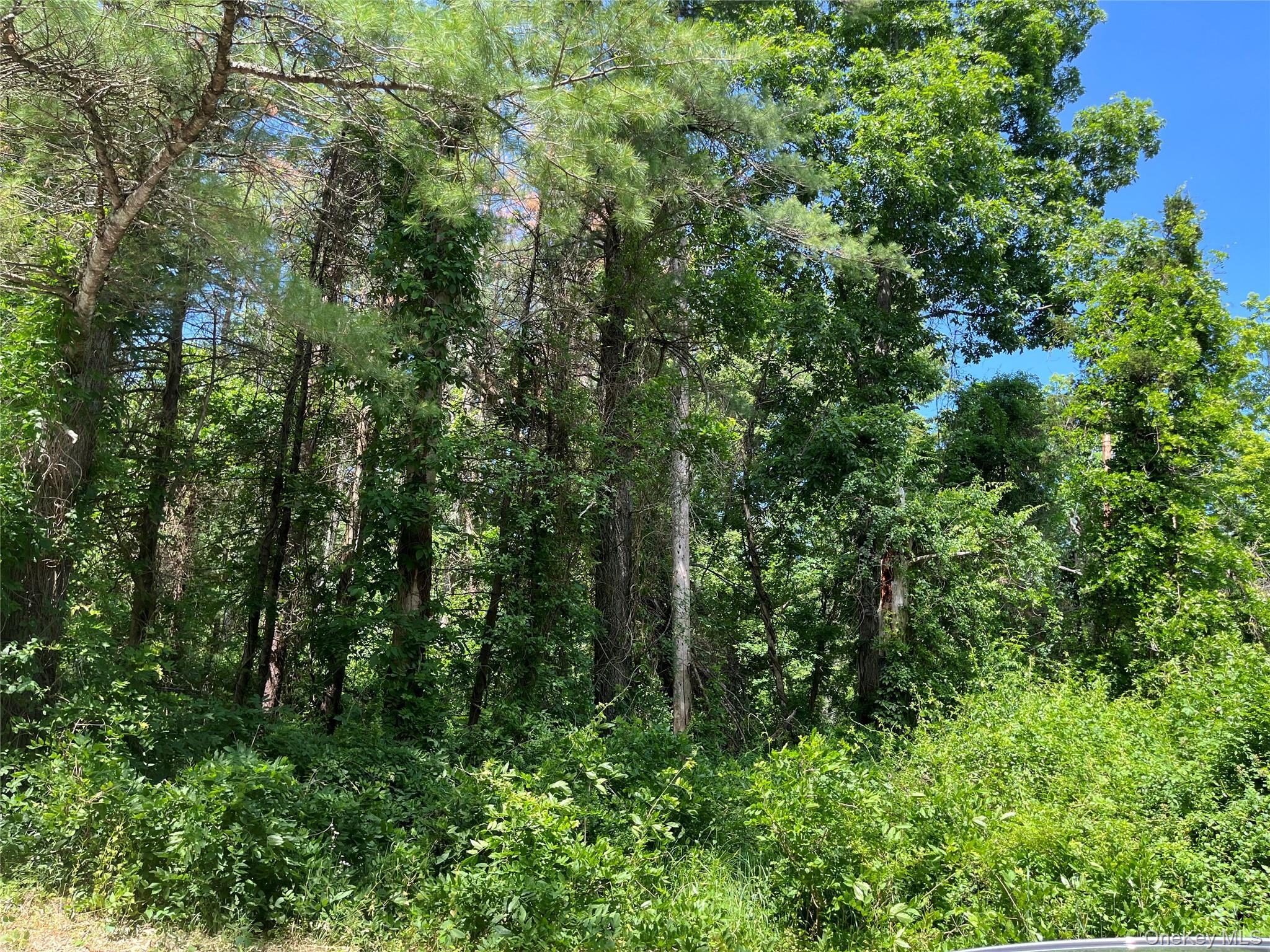 Single Family Glasco Turnpike Ulster County, NY 12477, MLS-1015646-28