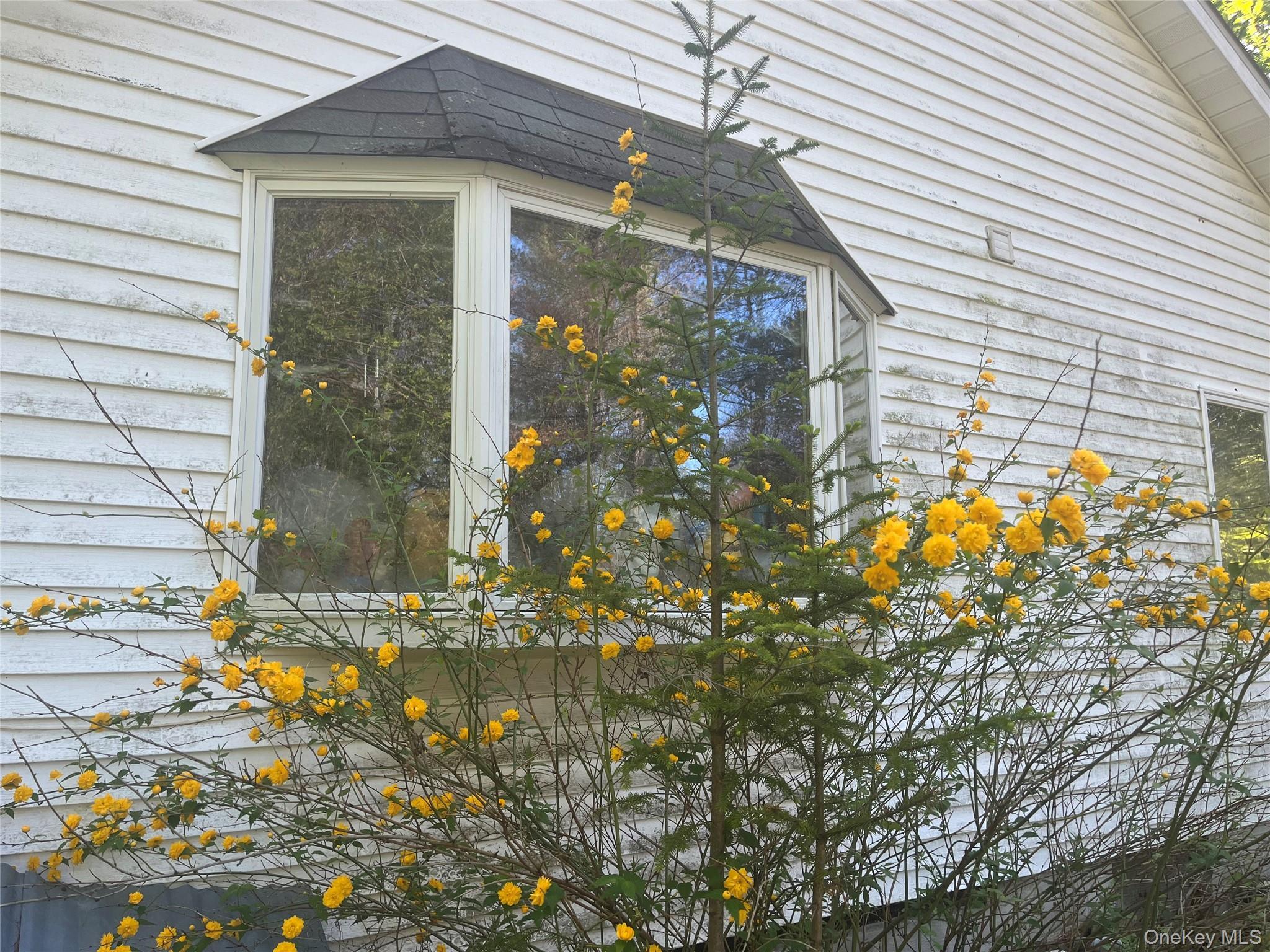Single Family Glasco Turnpike Ulster County, NY 12477, MLS-1015646-29