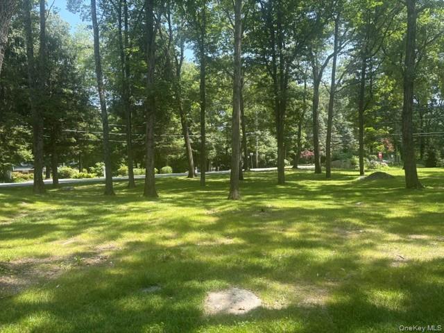 Single Family Laurel Road Westchester County, NY 10590, MLS-1015735-29