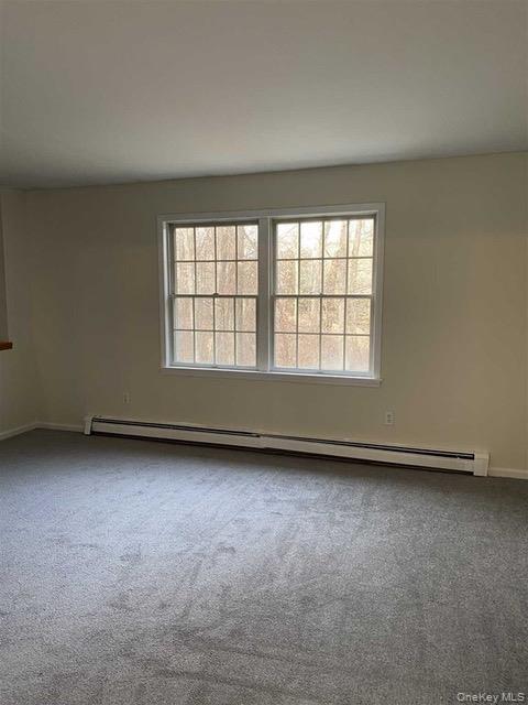 Single Family Van Wyck Lake Road Dutchess County, NY 12524, MLS-1015745-11