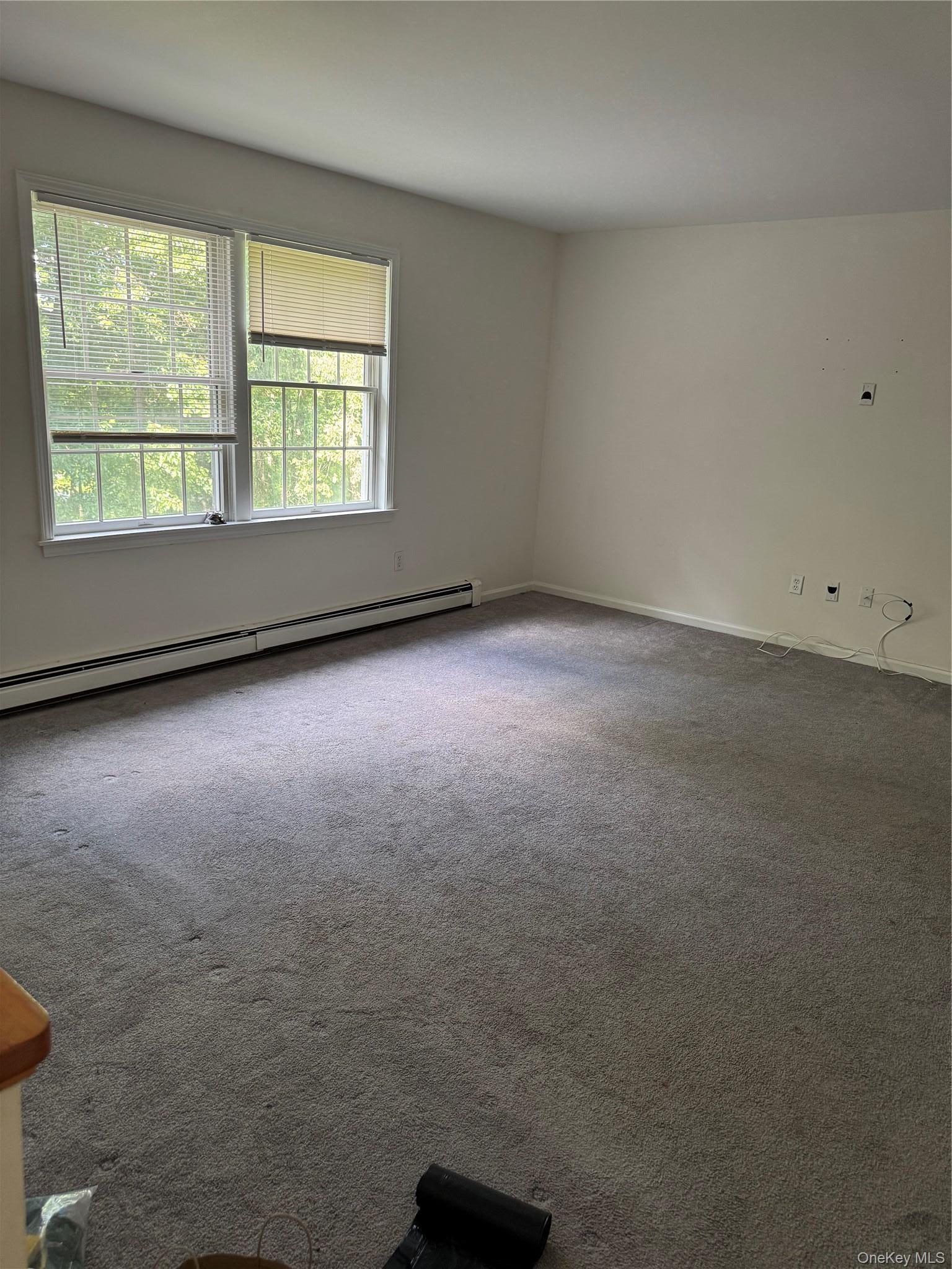 Single Family Van Wyck Lake Road Dutchess County, NY 12524, MLS-1015745-12