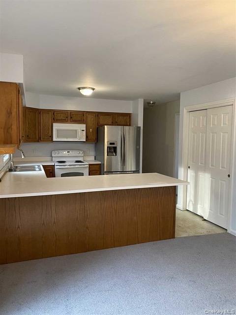 Single Family Van Wyck Lake Road Dutchess County, NY 12524, MLS-1015745-6