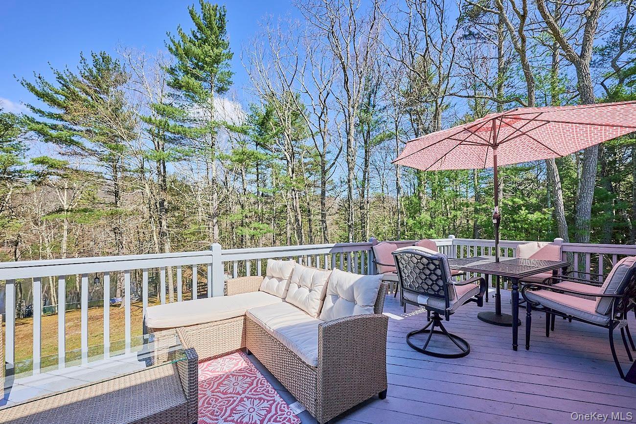 Single Family Pitio Road  Sullivan County, NY 12737, MLS-1015910-23