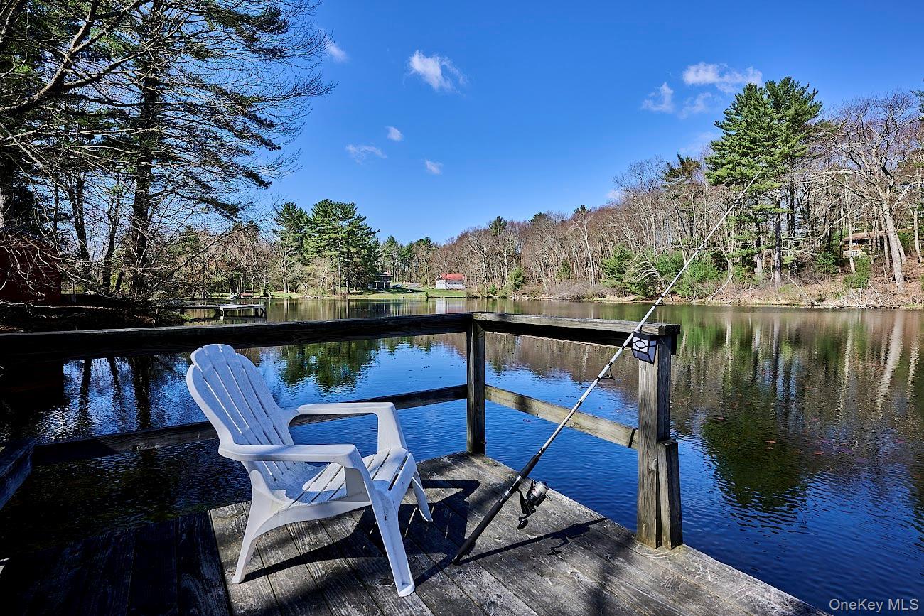 Single Family Pitio Road  Sullivan County, NY 12737, MLS-1015910-27