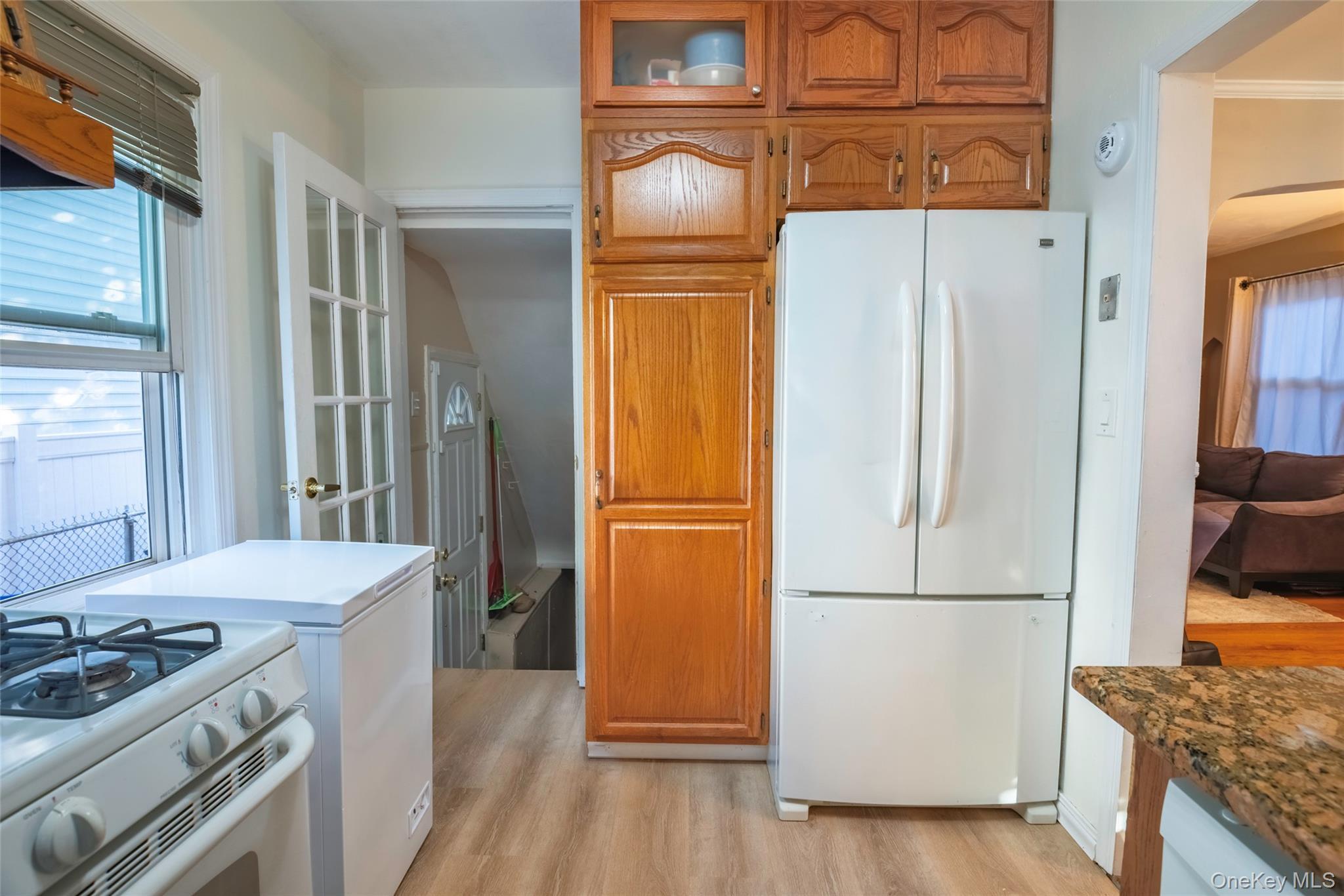 Single Family 253rd Street Queens, NY 11426, MLS-1015970-10