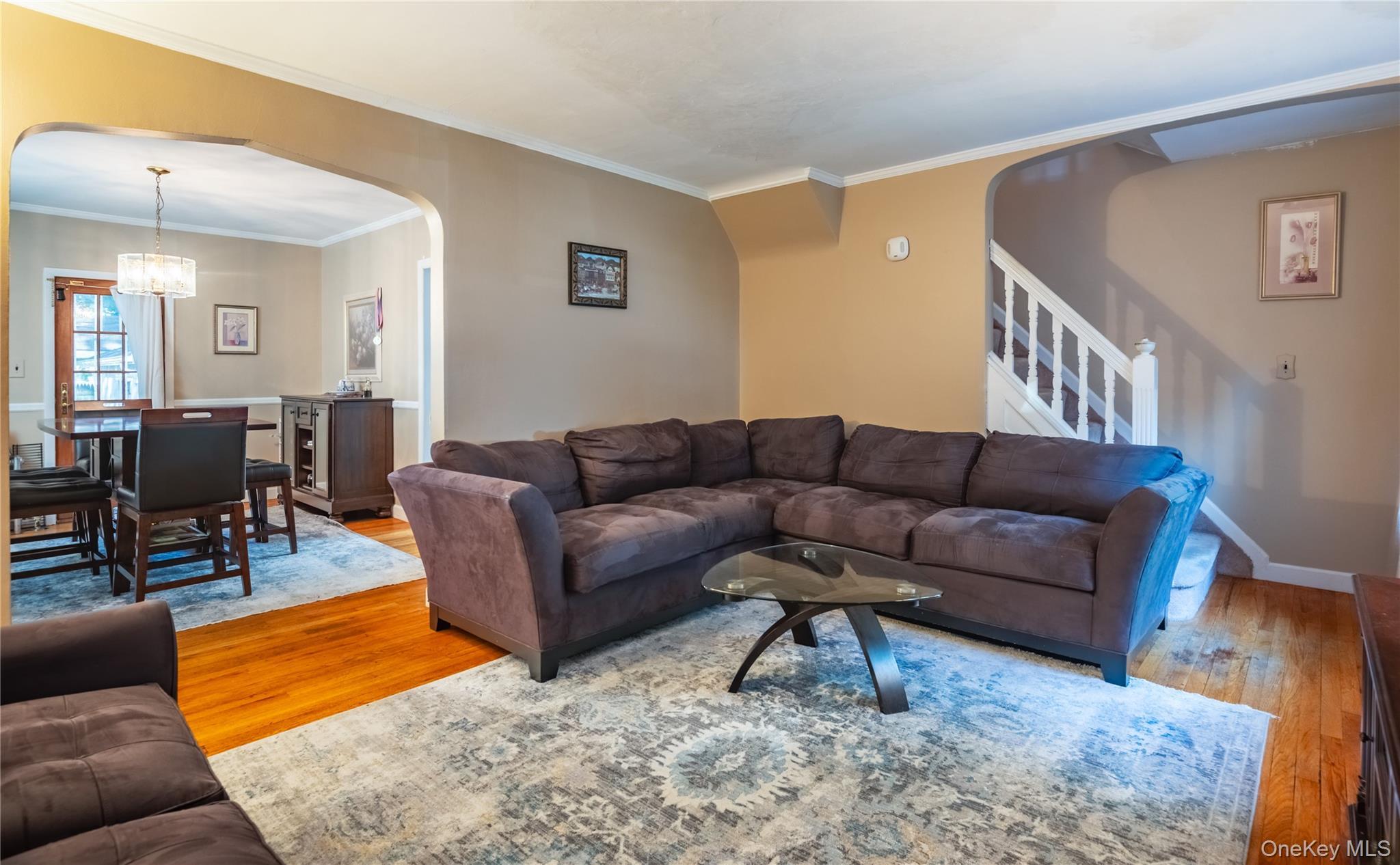 Single Family 253rd Street Queens, NY 11426, MLS-1015970-3
