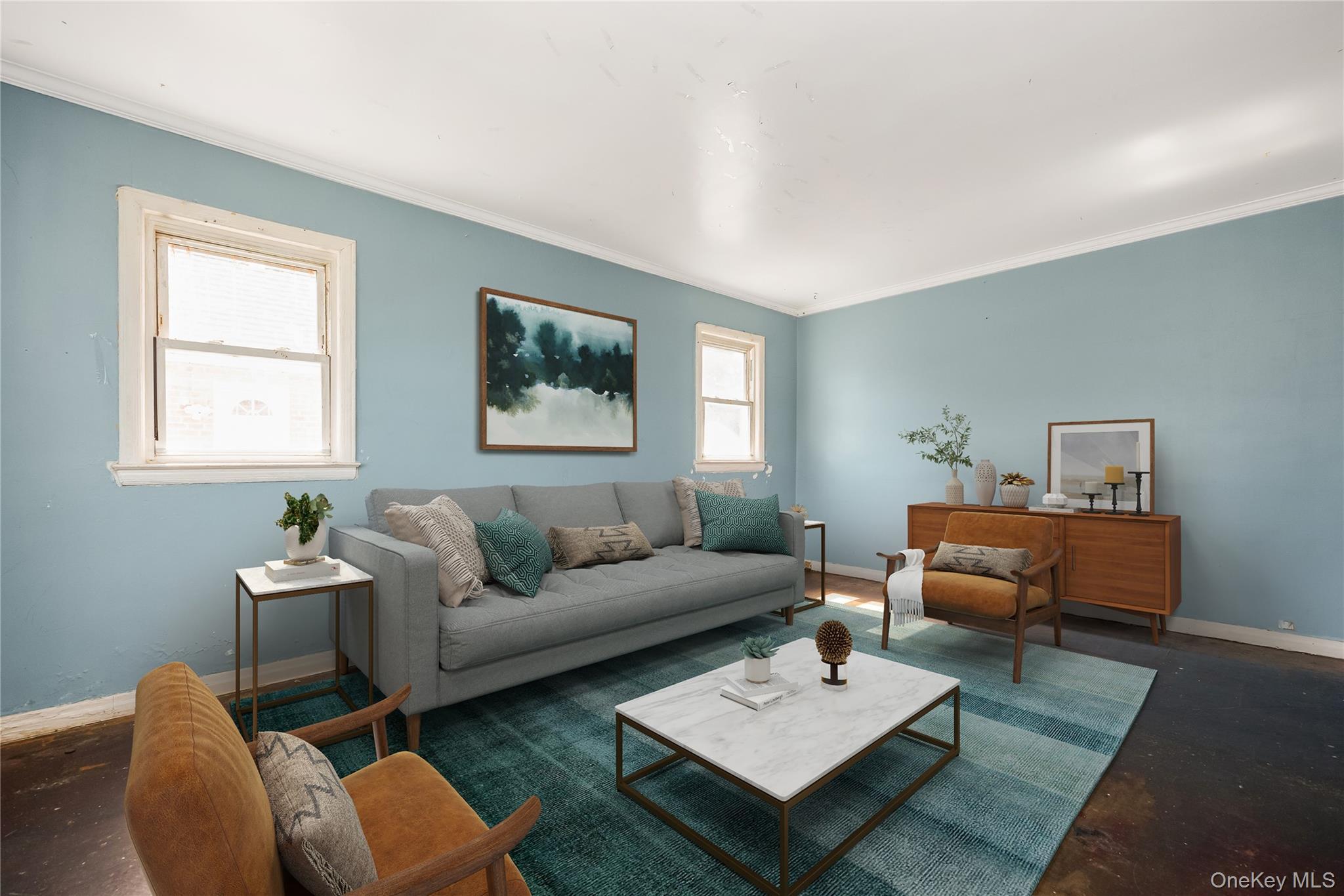 Single Family Viola Street Nassau County, NY 11580, MLS-1016039-16