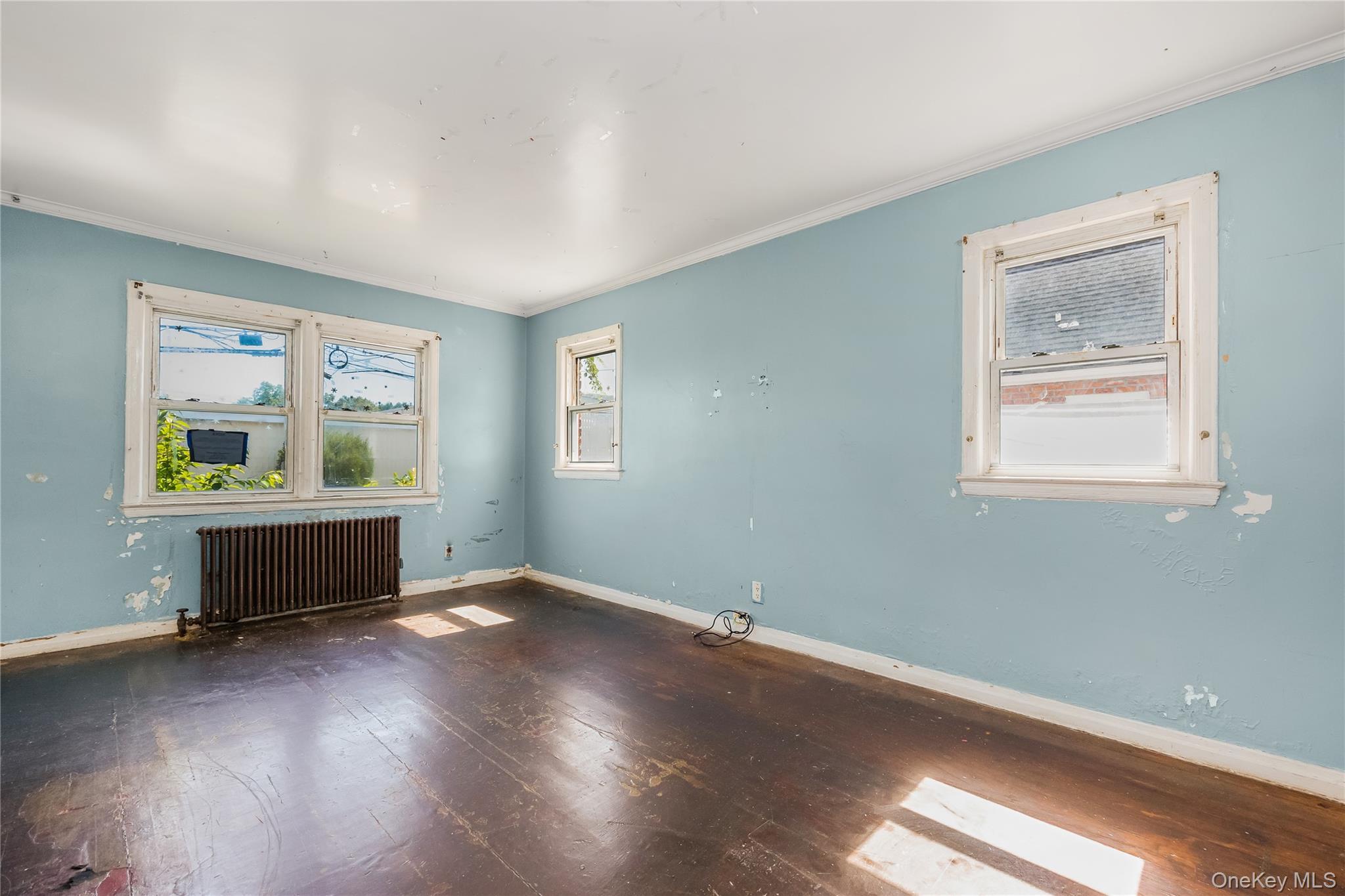 Single Family Viola Street Nassau County, NY 11580, MLS-1016039-17