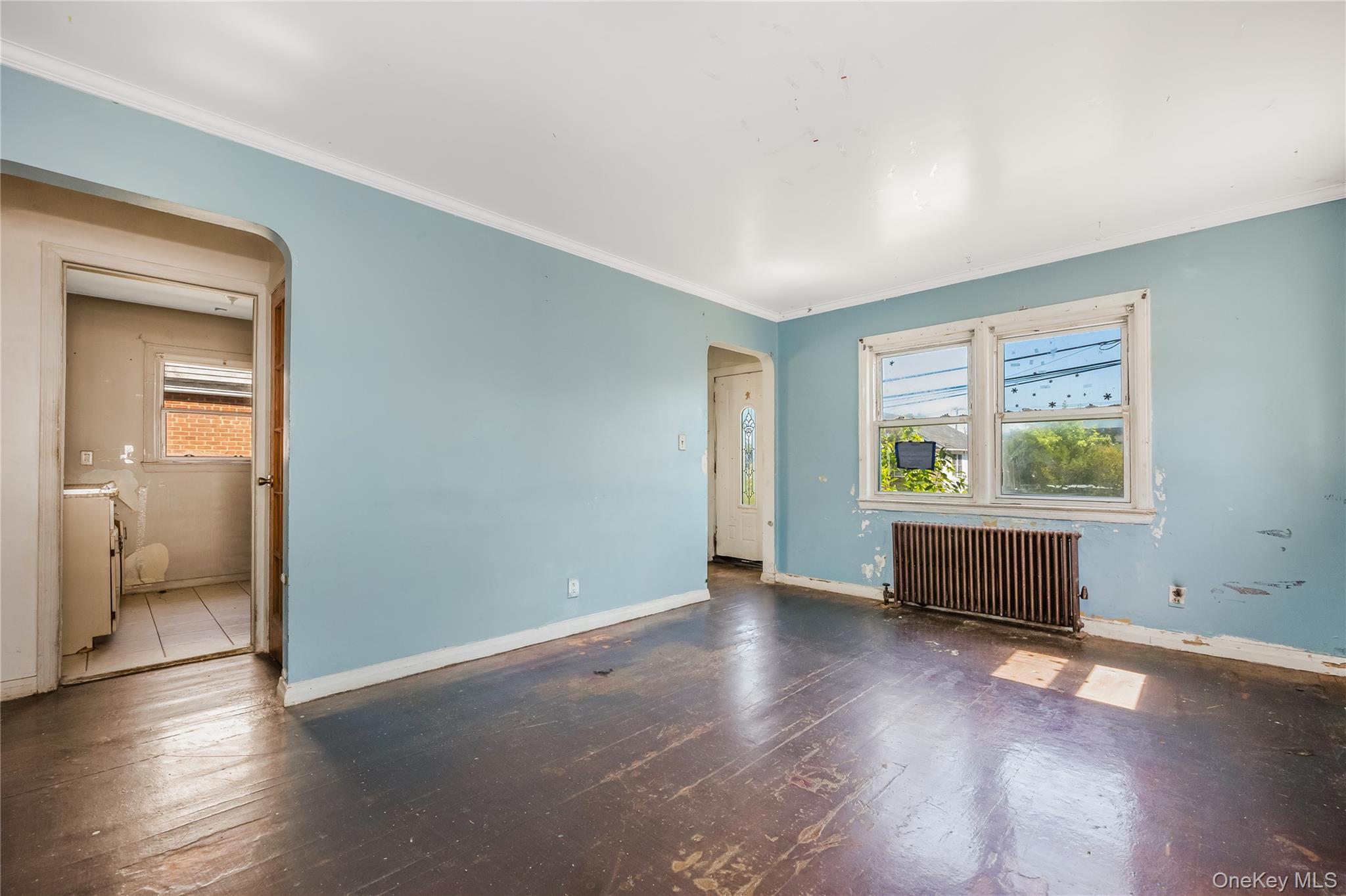 Single Family Viola Street Nassau County, NY 11580, MLS-1016039-19