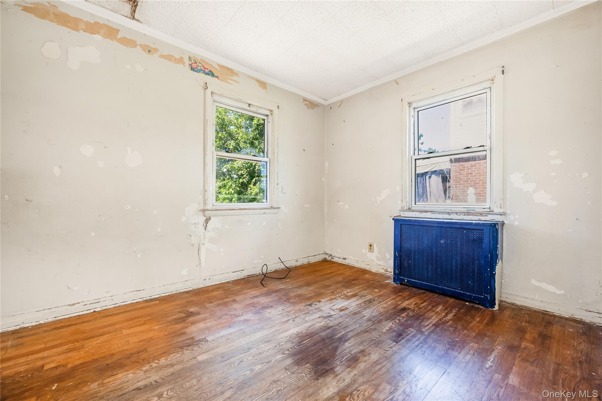 Single Family Viola Street Nassau County, NY 11580, MLS-1016039-28