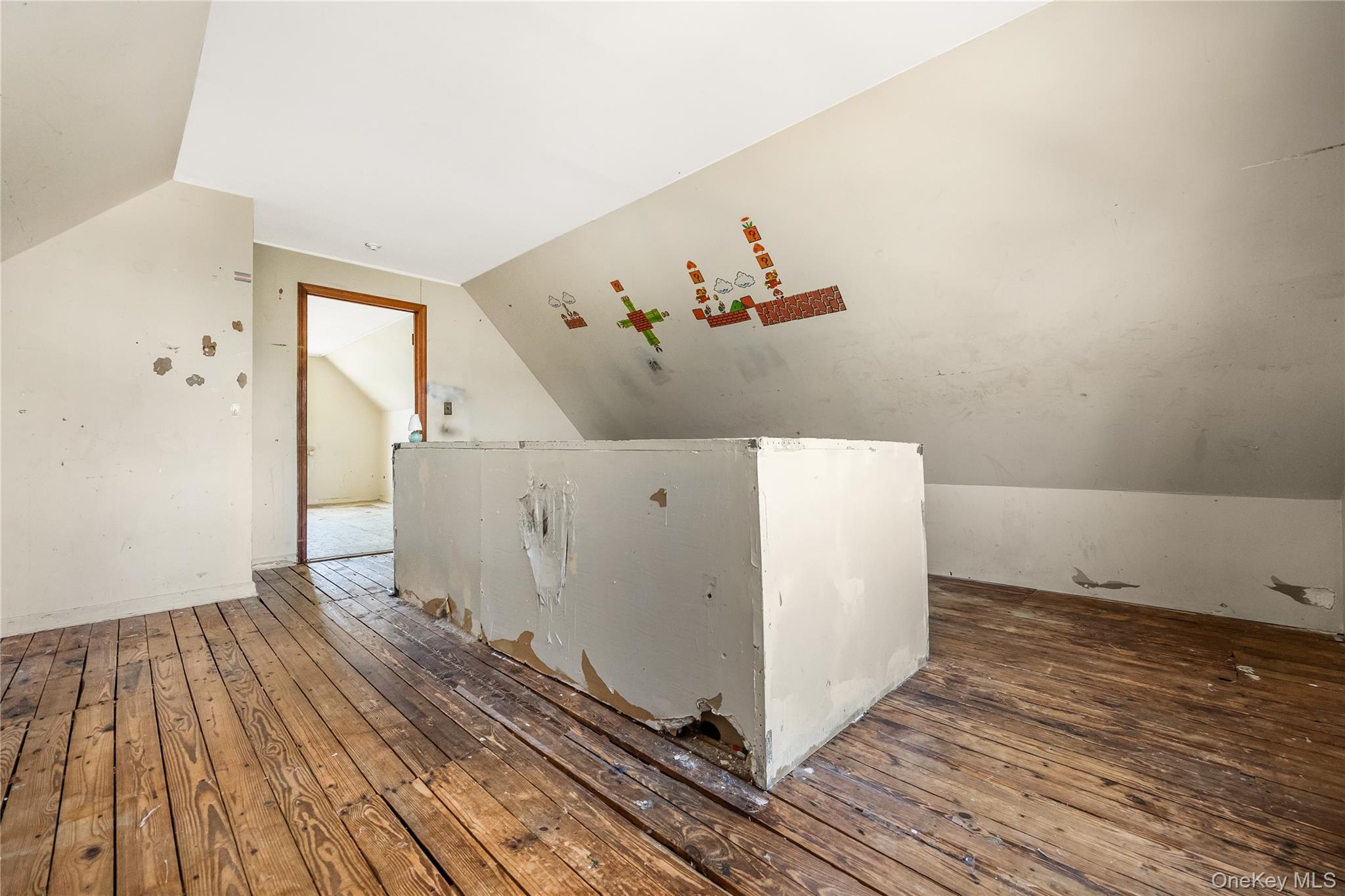 Single Family Viola Street Nassau County, NY 11580, MLS-1016039-33