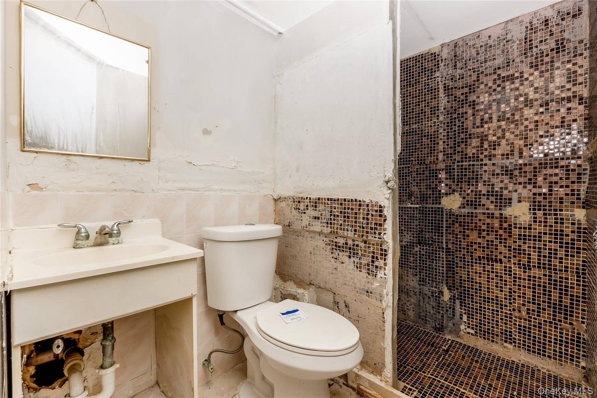Single Family Viola Street  Nassau County, NY 11580, MLS-1016039-35