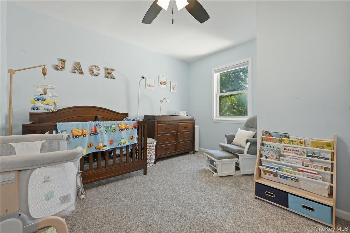 Single Family Thorne Street Suffolk County, NY 11779, MLS-1016062-19