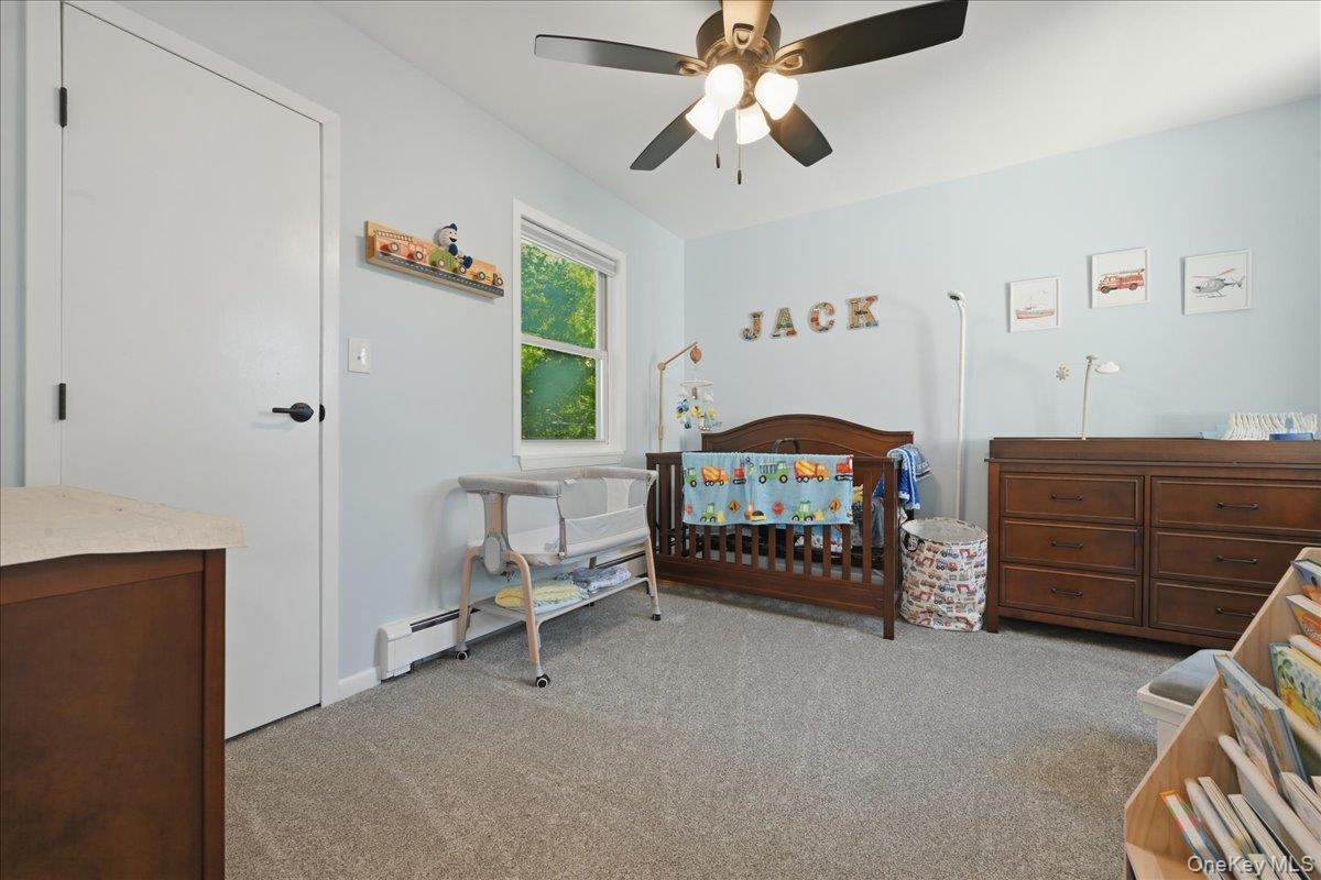 Single Family Thorne Street Suffolk County, NY 11779, MLS-1016062-20