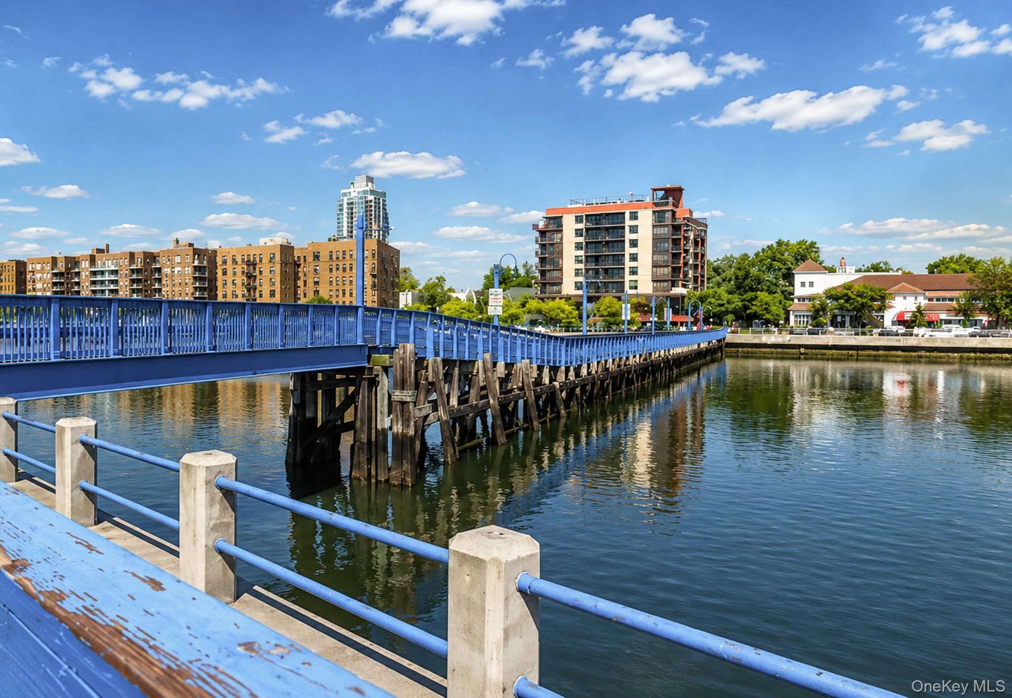 Single Family E 11th Street Brooklyn, NY 11235, MLS-1016094-5