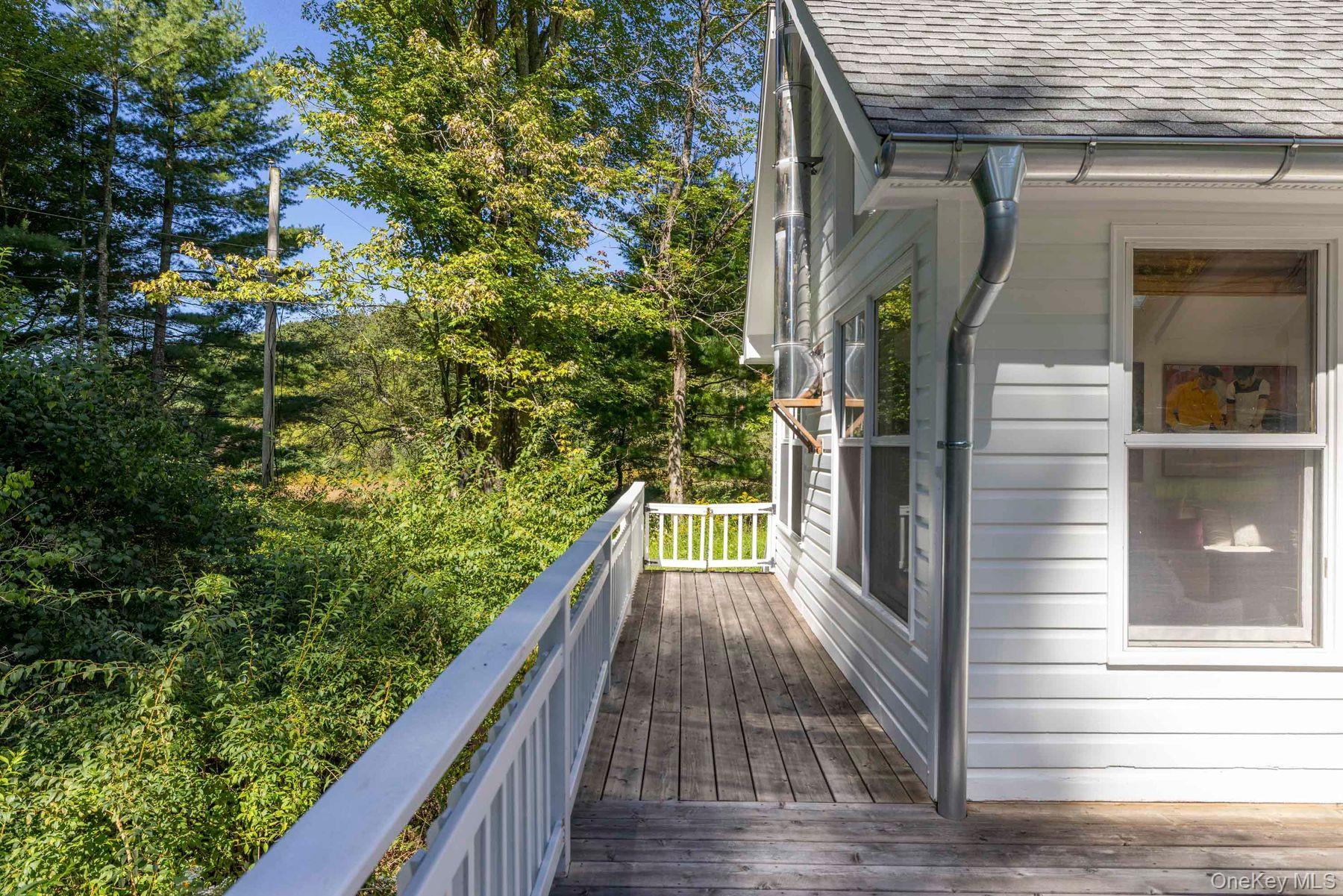 Single Family Wittenberg Road  Ulster County, NY 12409, MLS-1016096-46