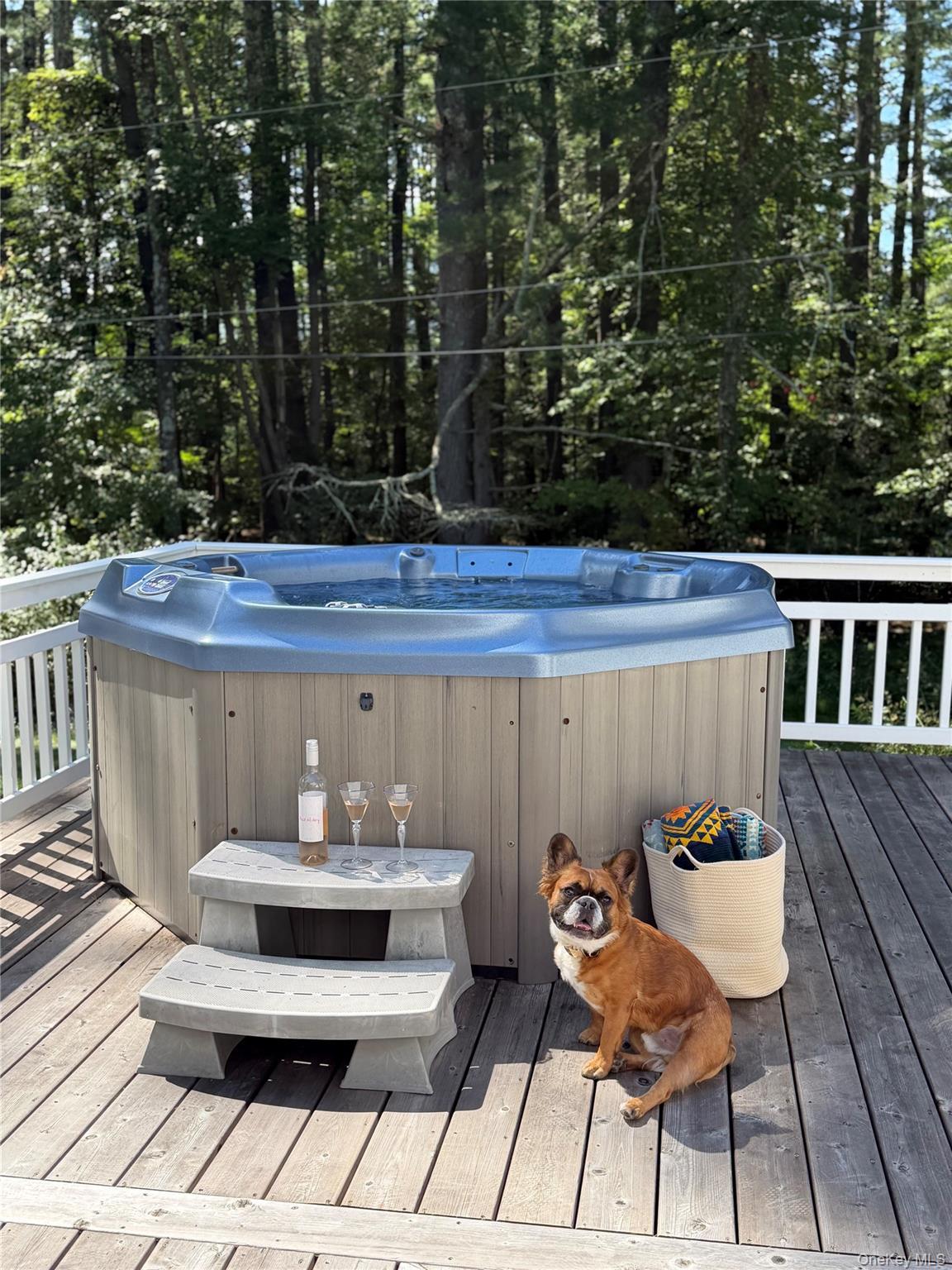 Single Family Wittenberg Road  Ulster County, NY 12409, MLS-1016096-49