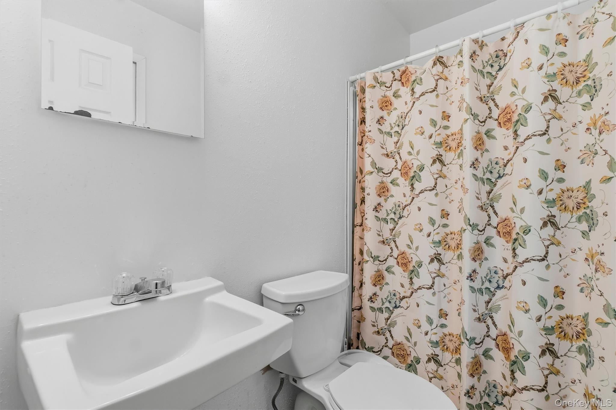 Single Family Wilson Road Orange County, NY 10950, MLS-1016146-24