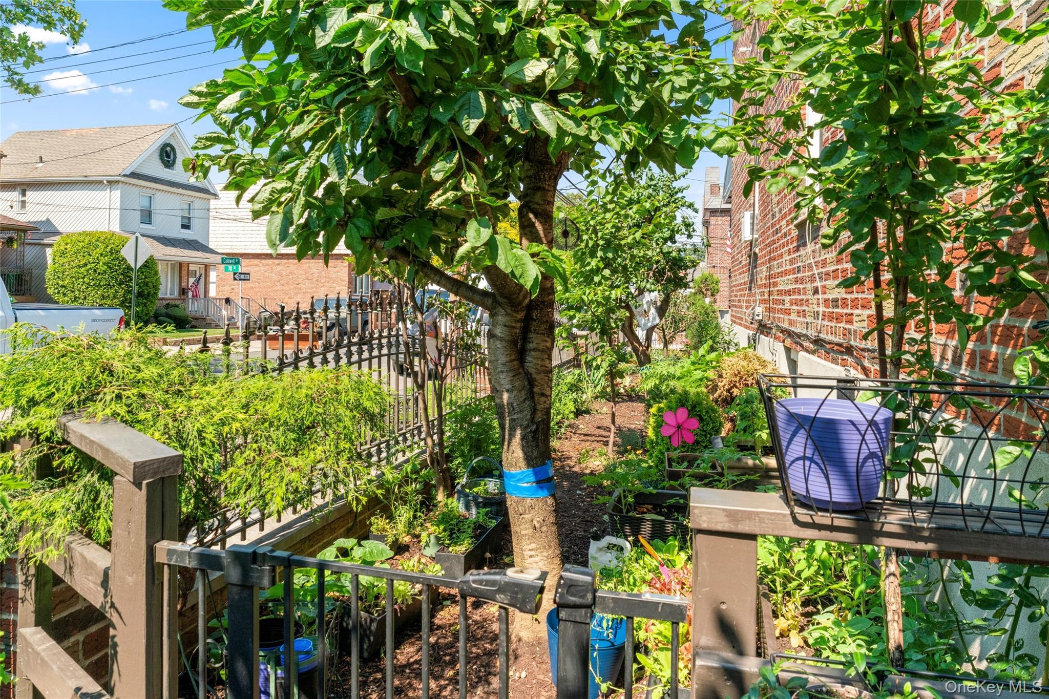 Single Family 70th Street Queens, NY 11378, MLS-1016176-32
