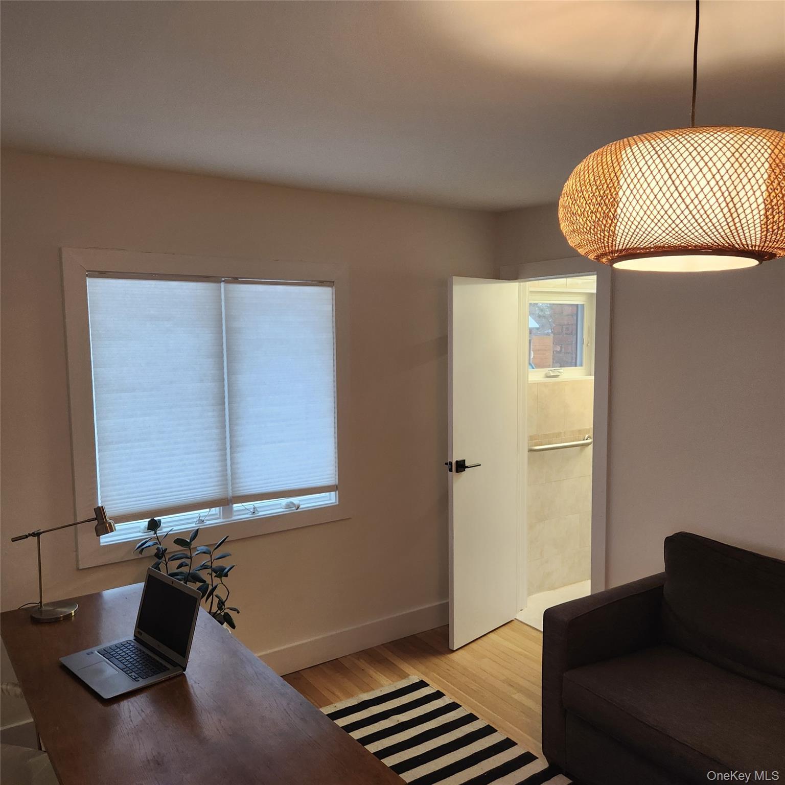 Single Family Lewis Lane  Nassau County, NY 11050, MLS-1016236-20