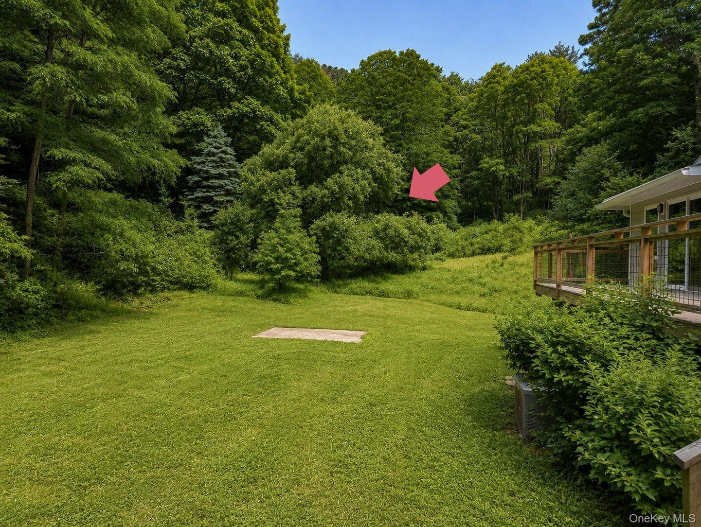 Single Family Camp Road Columbia County, NY 12571, MLS-1016273-45