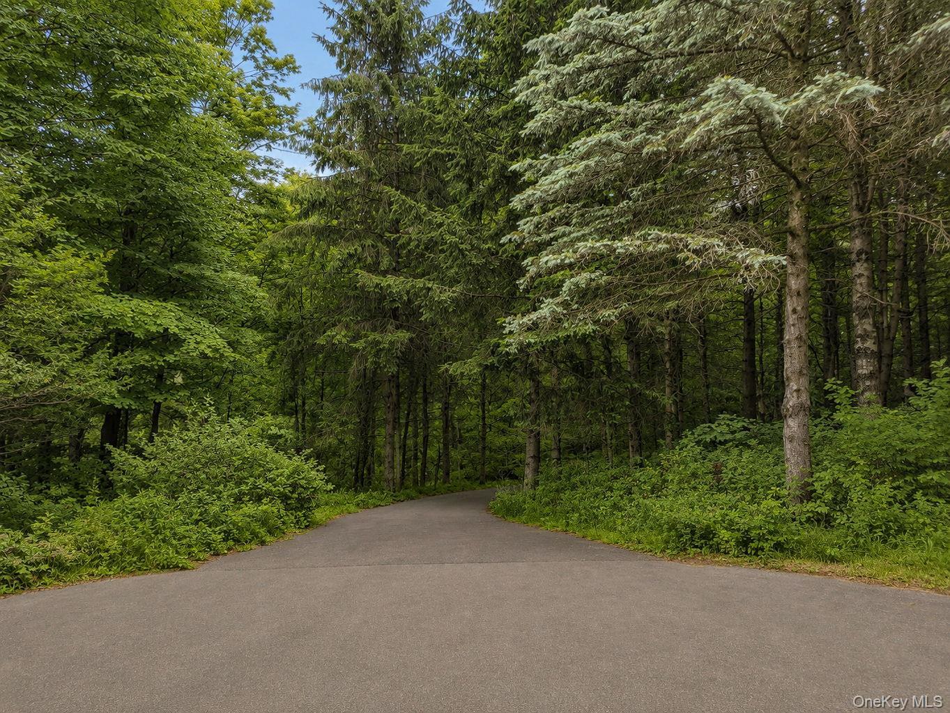 Single Family Camp Road  Columbia County, NY 12571, MLS-1016273-50