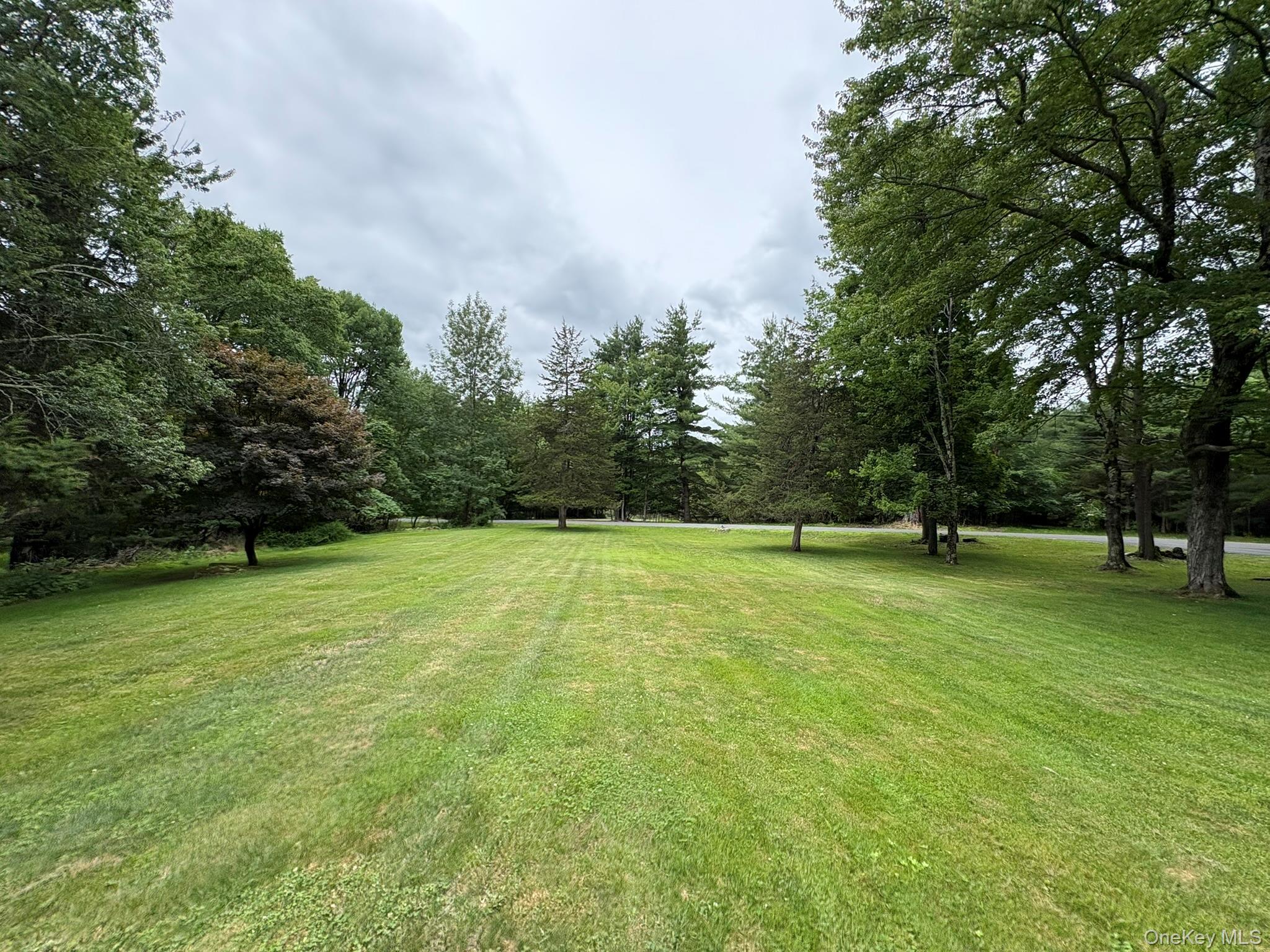 Single Family Twinshaven Road  Sullivan County, NY 12458, MLS-1016277-50