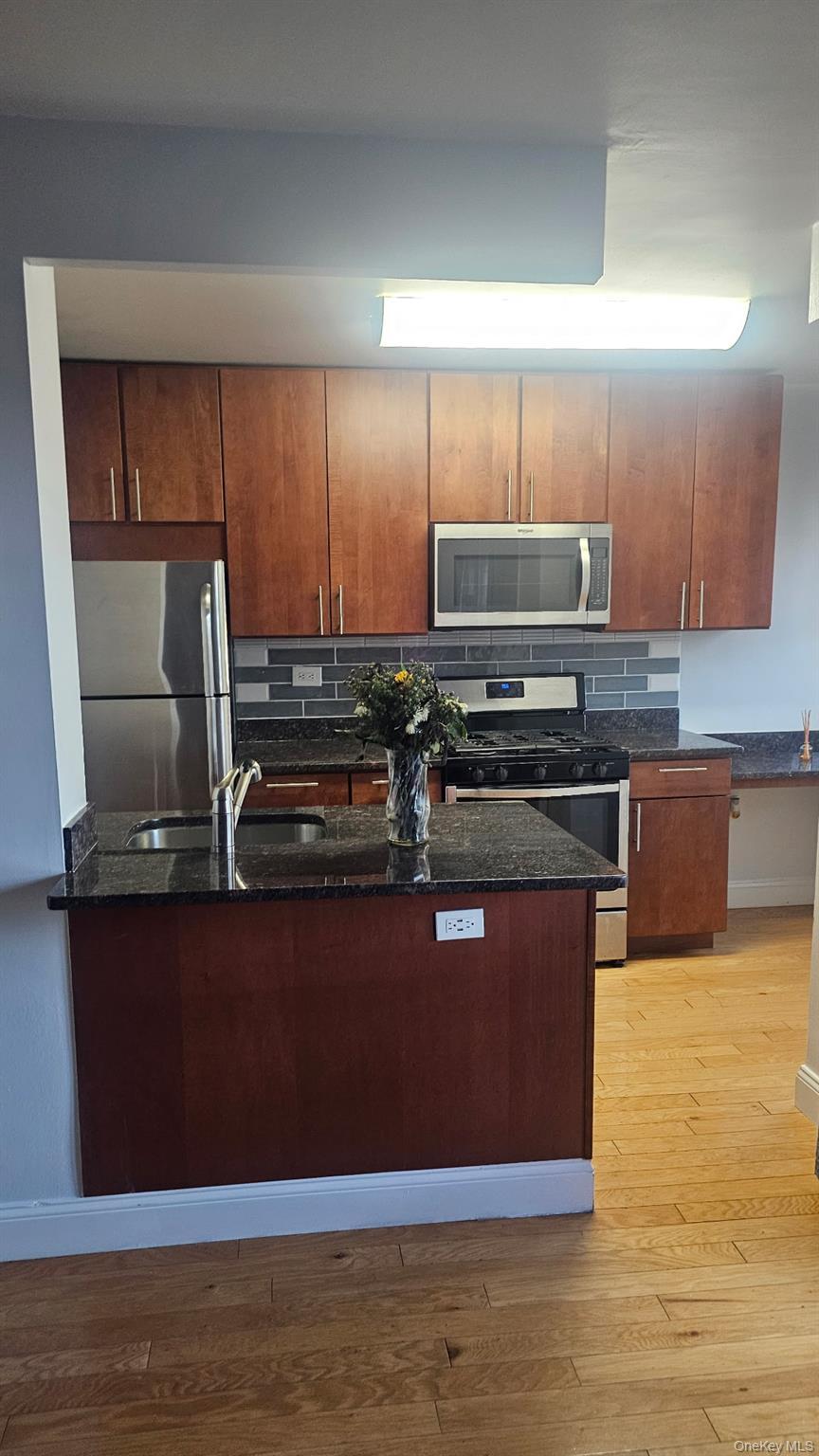 Apartment Flatlands Avenue Brooklyn, NY 11207, MLS-1016303-11