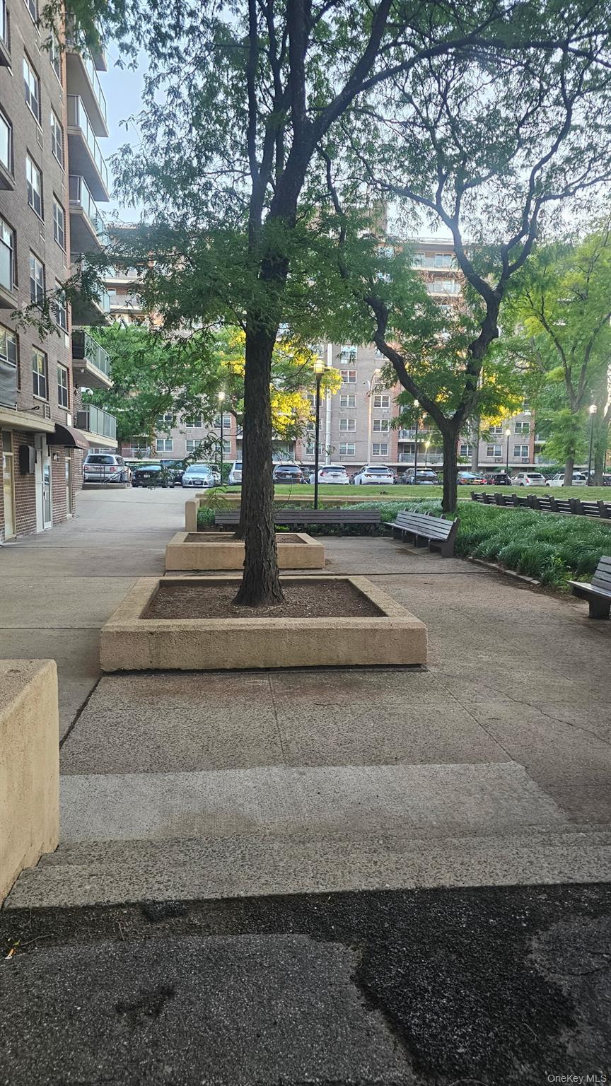Apartment Flatlands Avenue Brooklyn, NY 11207, MLS-1016303-2