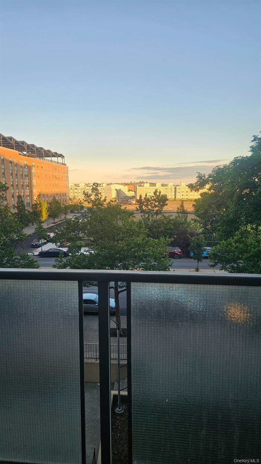 Apartment Flatlands Avenue Brooklyn, NY 11207, MLS-1016303-20