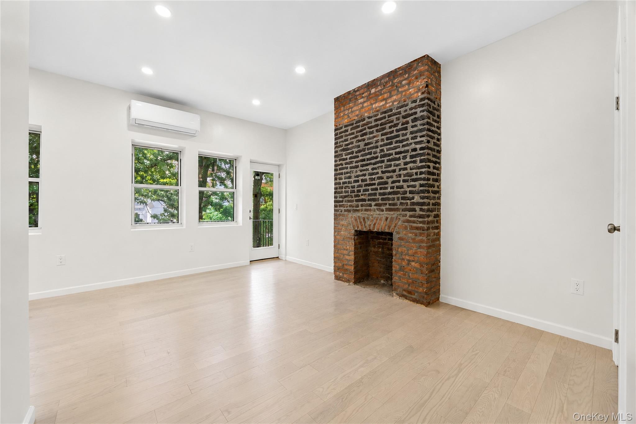 Single Family Cooper Street  Brooklyn, NY 11207, MLS-1016354-7