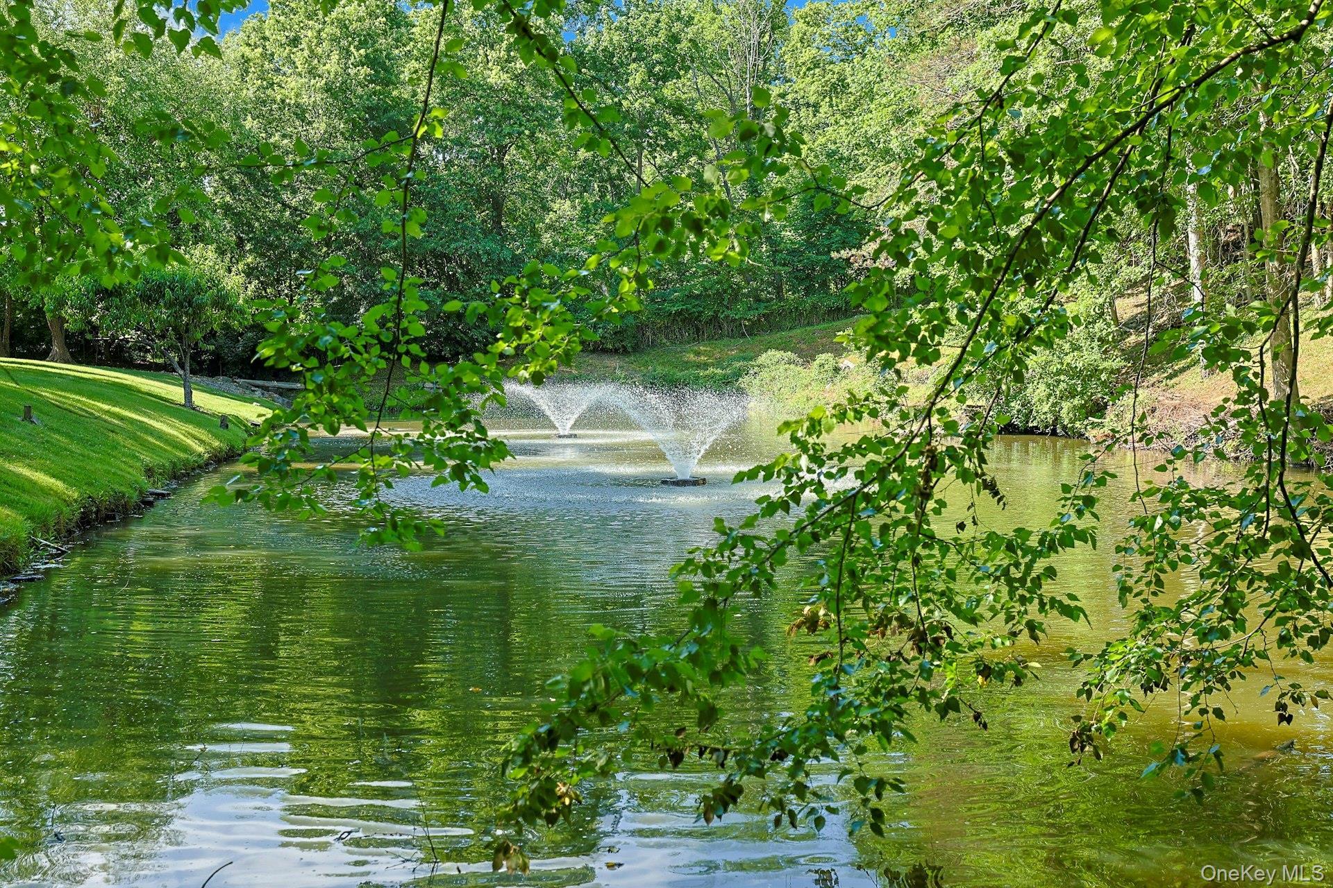 Single Family Murray Hill Road  Westchester County, NY 10583, MLS-1016358-3