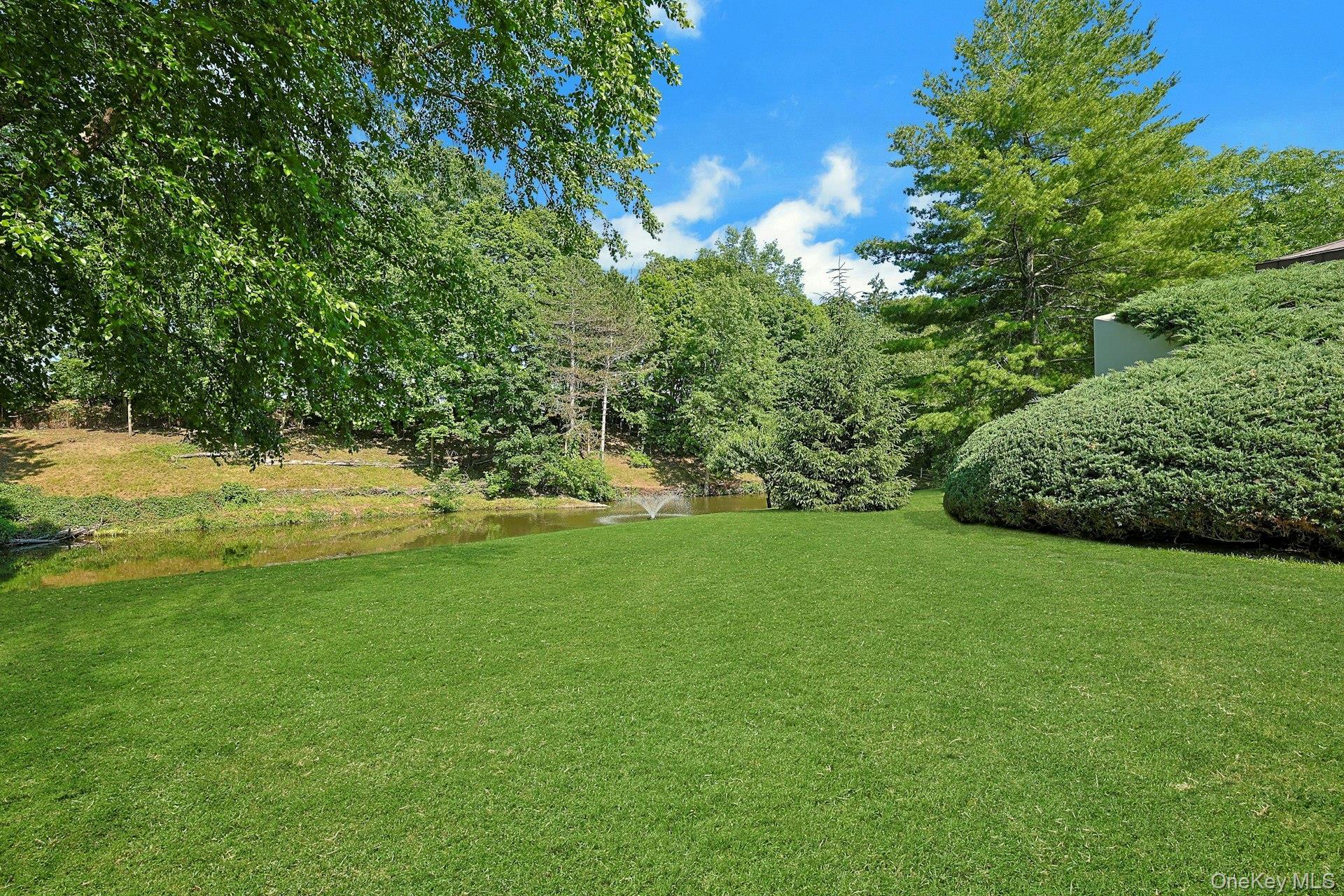 Single Family Murray Hill Road  Westchester County, NY 10583, MLS-1016358-35