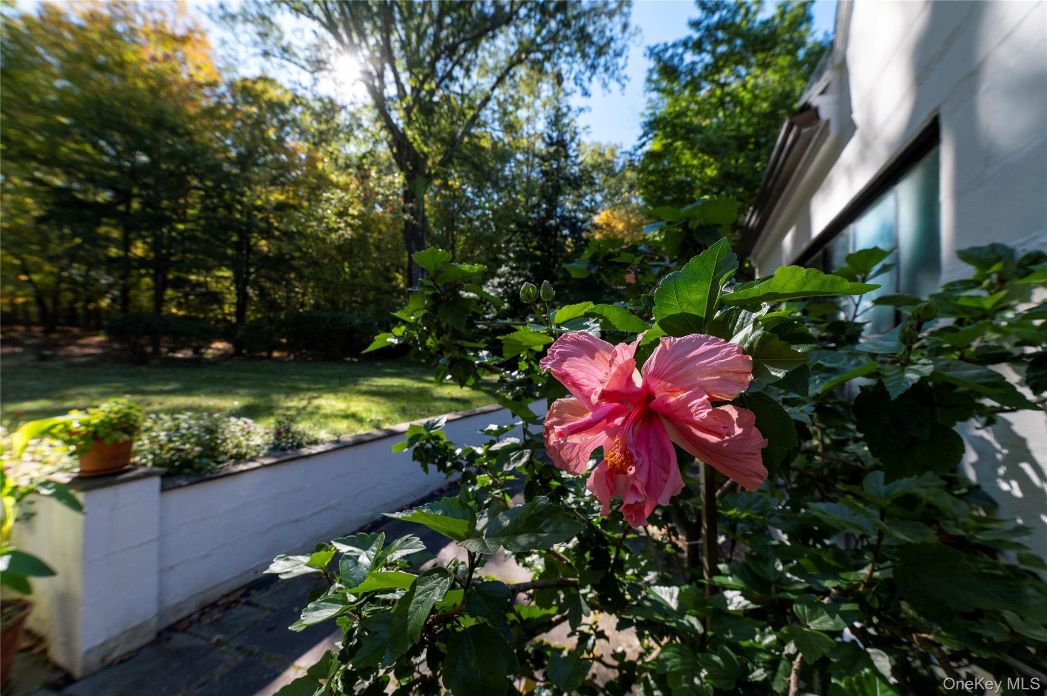 Single Family S Mountain Road  Rockland County, NY 10956, MLS-1016409-46
