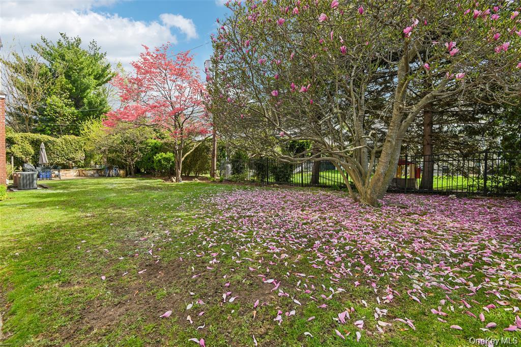 Single Family Kensington Road  Nassau County, NY 11530, MLS-1016423-3