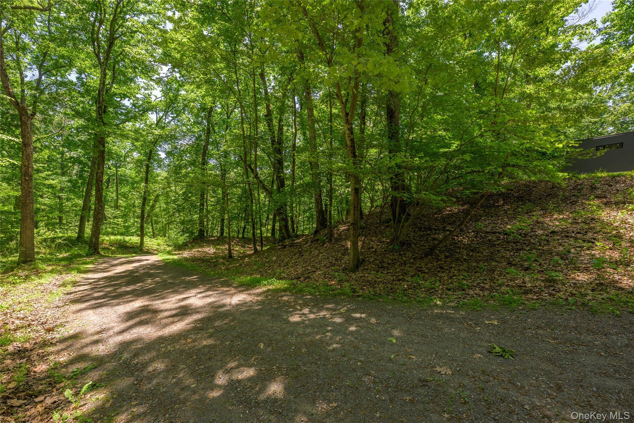Single Family Sky Farm Road Columbia County, NY 12516, MLS-1016435-43
