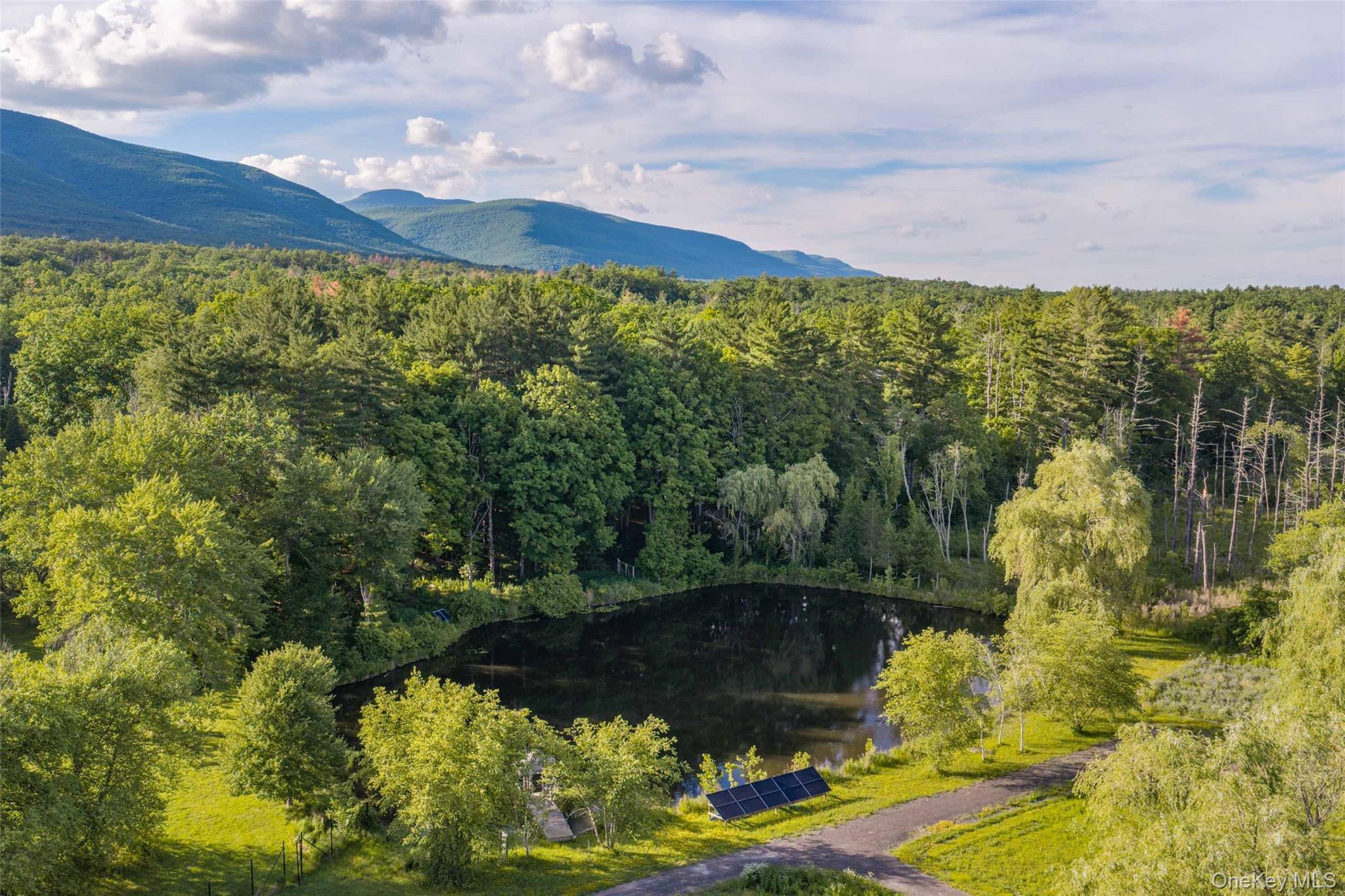 Single Family Route 212  Ulster County, NY 12477, MLS-1016441-46